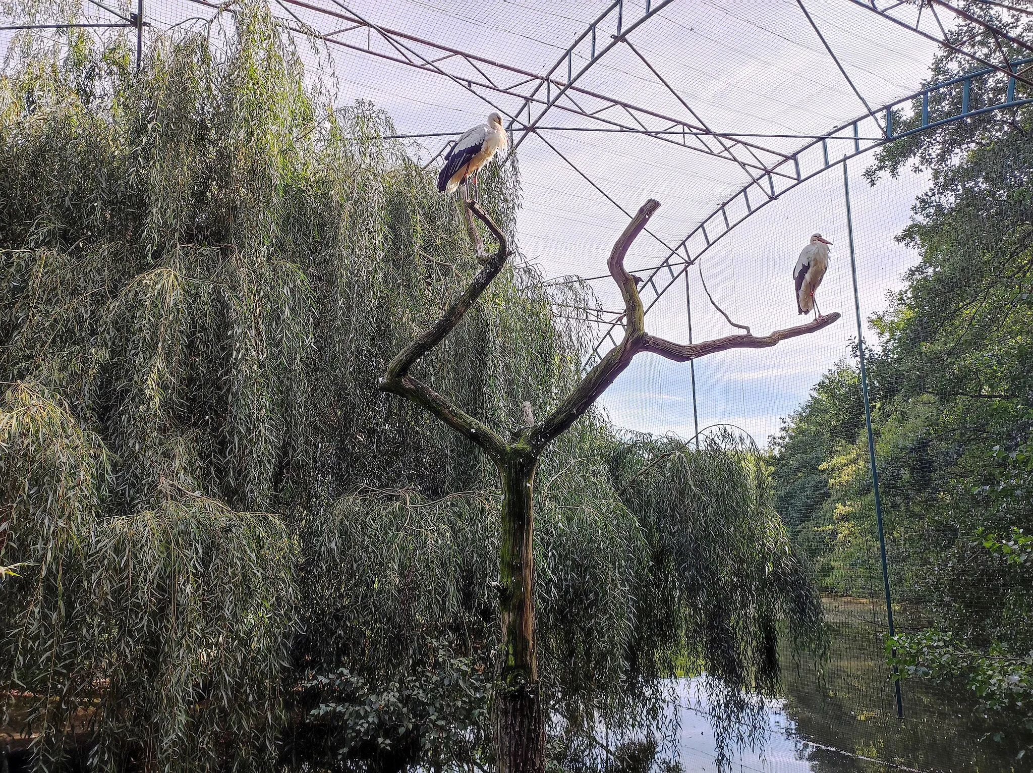 Photo showing: Zoopark Chomutov, Czechia.