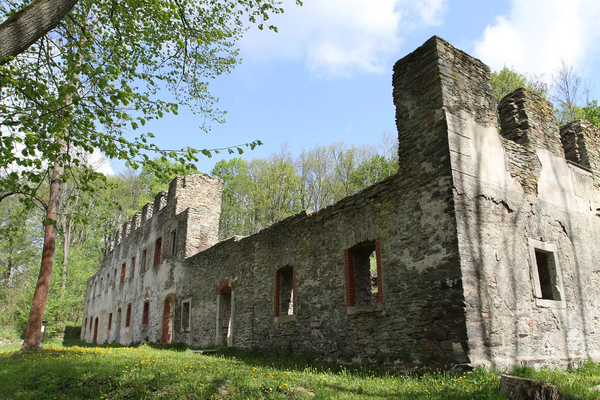 Photo showing: Castle Neuberg in Cheb district, Czech Republic