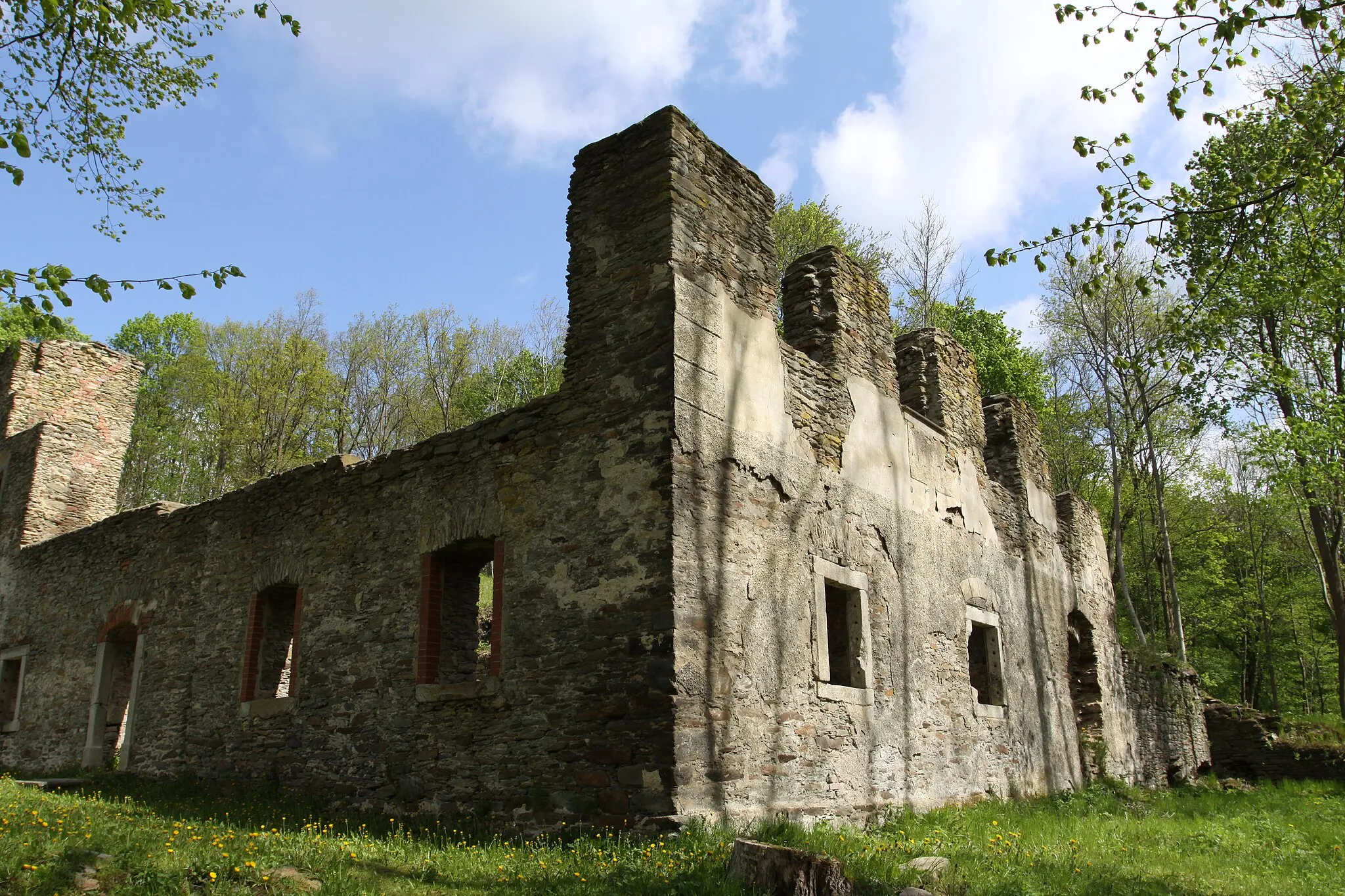 Photo showing: Castle Neuberg in Cheb district, Czech Republic