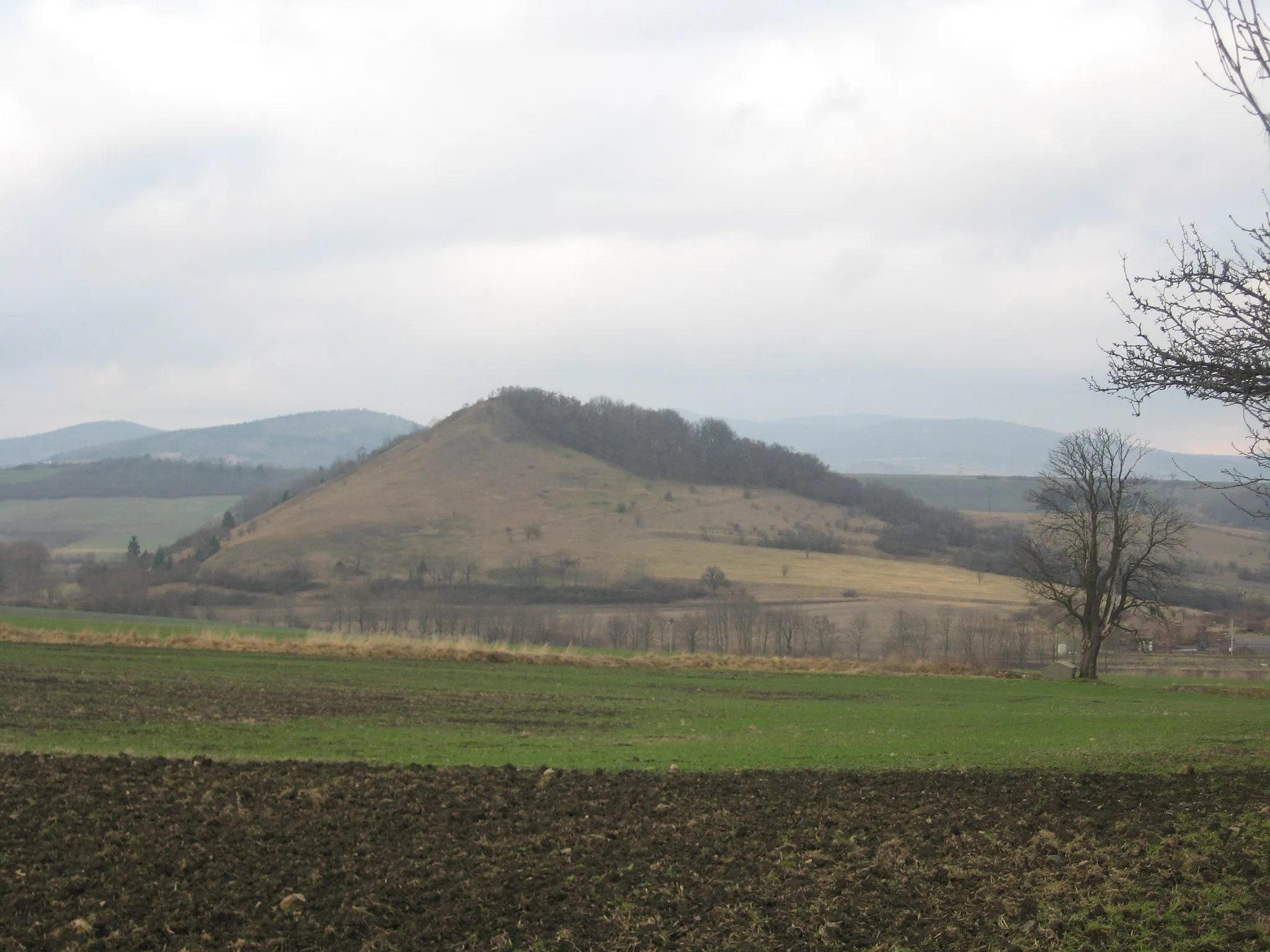 Photo showing: Syslík hill by Třtěno