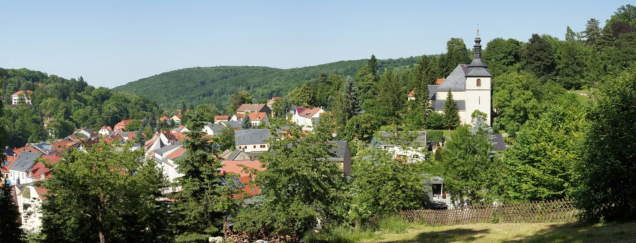 Photo showing: Bad Gottleuba Panorama
