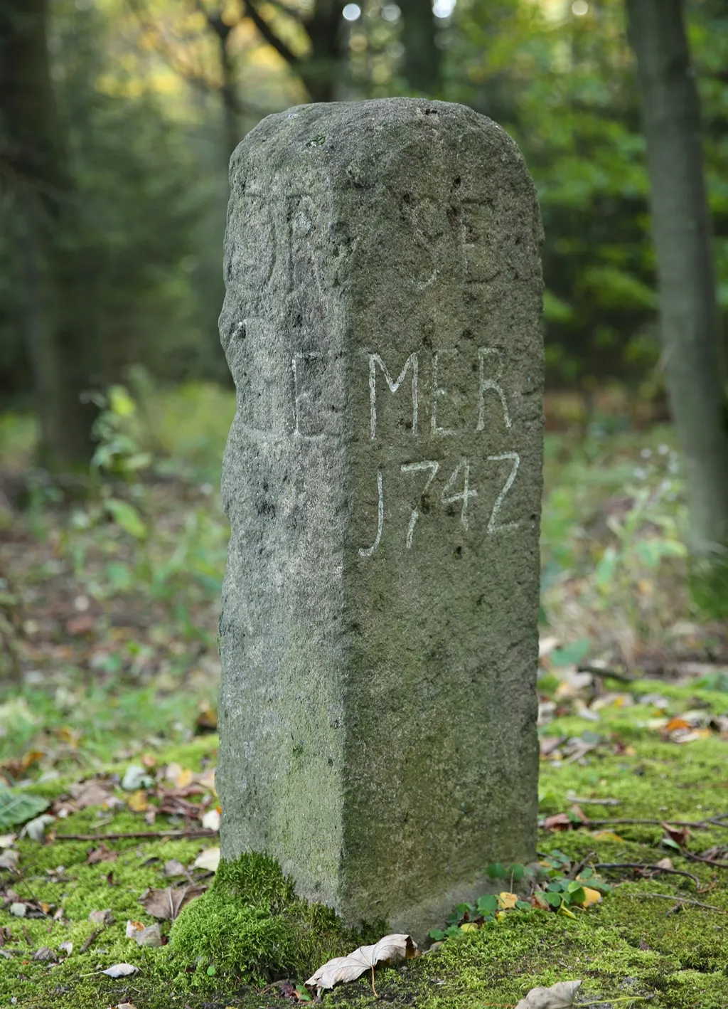 Photo showing: Bärenstein (Erzgebirge): sogenanntes "Hirtengrab" auf dem Gipfel des Berges. Hier soll der Sage nach ein Hirte von einem Ochsen getötet worden sein.