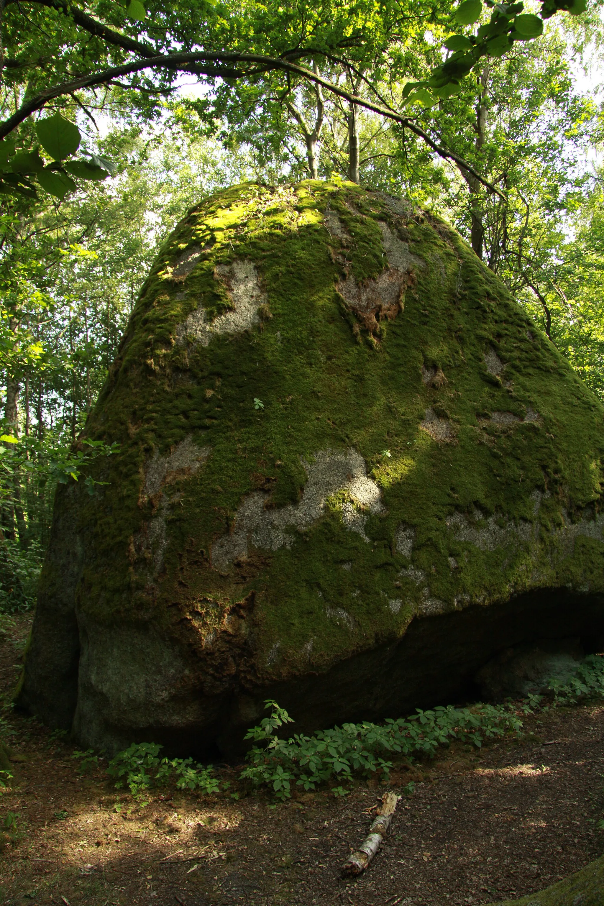 Photo showing: Natural monument Kynžvartský kámen near Lázně Kynžvart town in Cheb District, Czech Republic