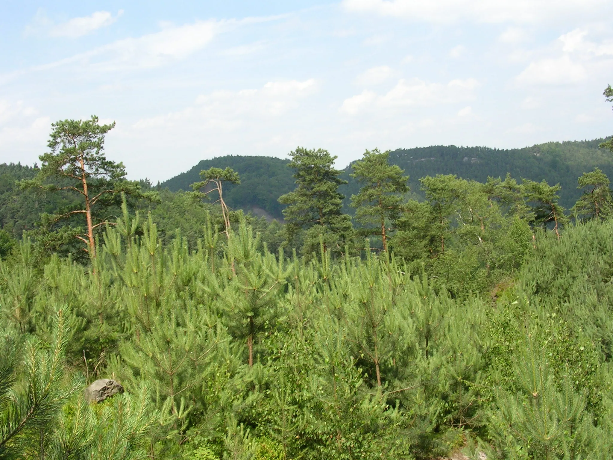 Photo showing: Blatce, Česká Lípa District, Liberec Region, the Czech Republic. Forests and rocks.