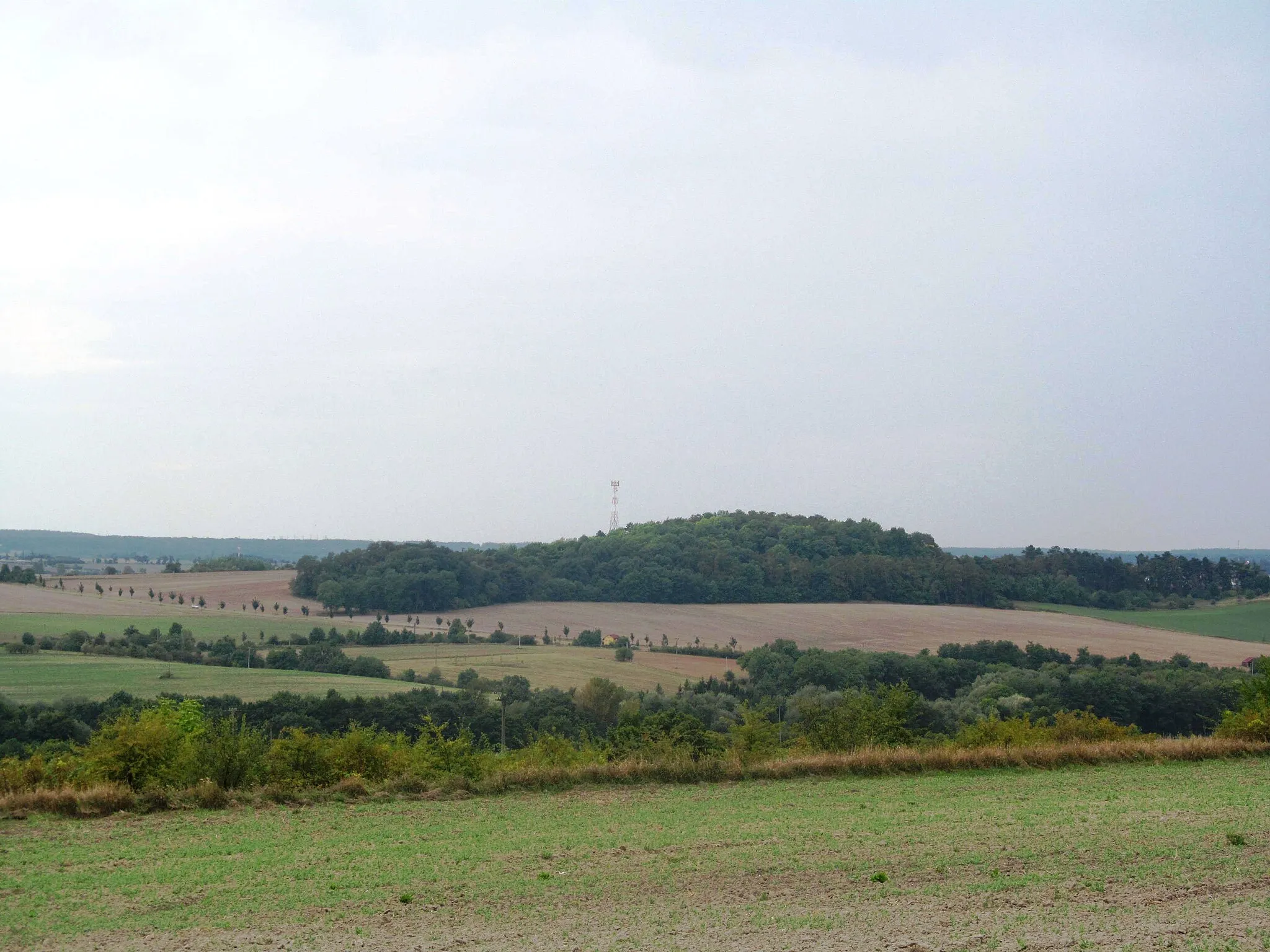 Photo showing: Řípec hill from Dřínov