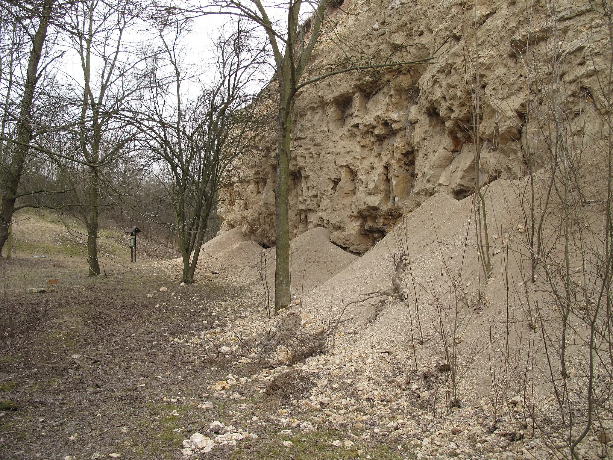Photo showing: Natural monument "Miocenní sladkovodní vápence" (Miocene freshwater limestones) near Tuchořice village, Louny District, Czech Republic.