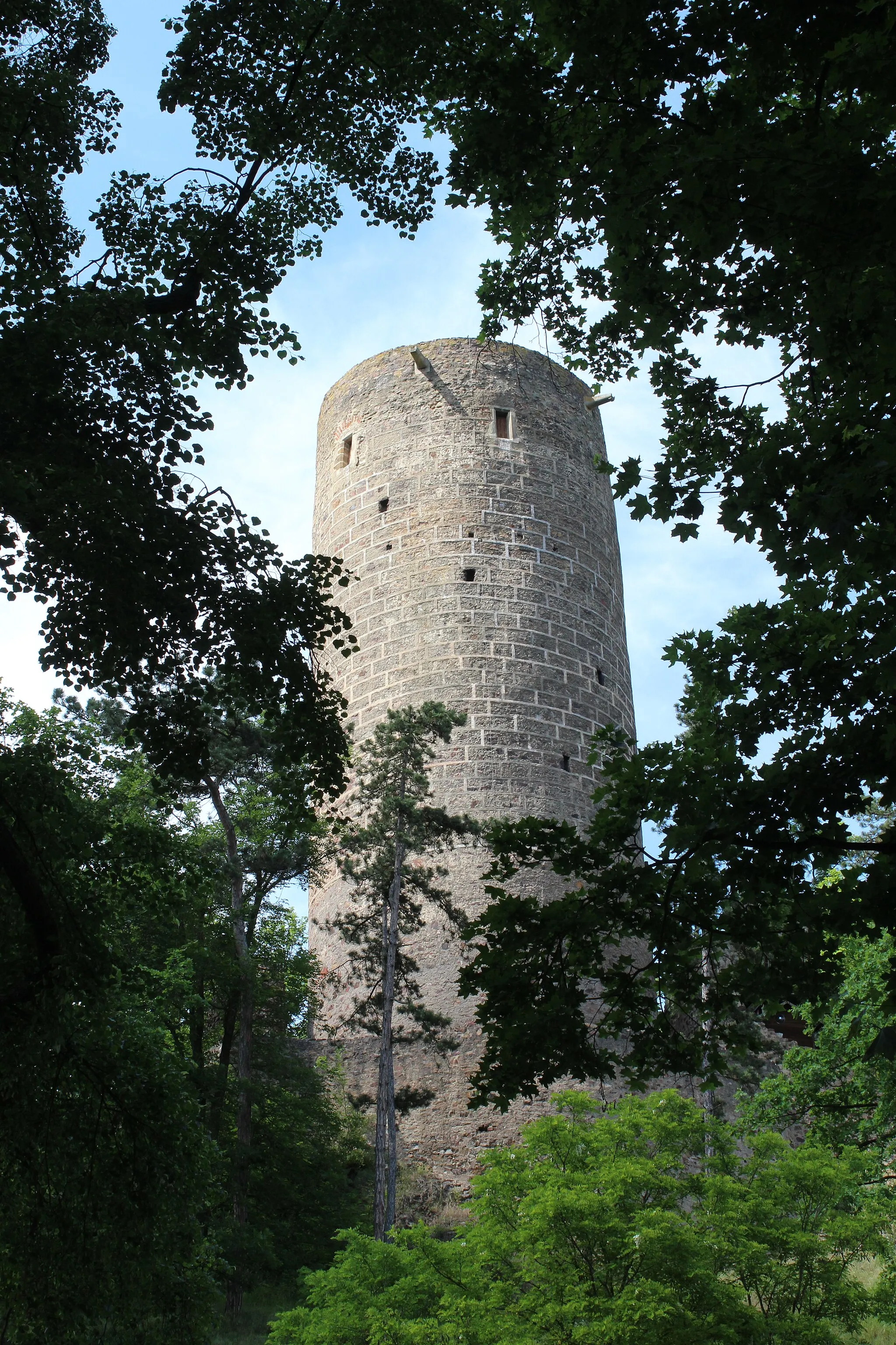 Photo showing: Castle Žebrák