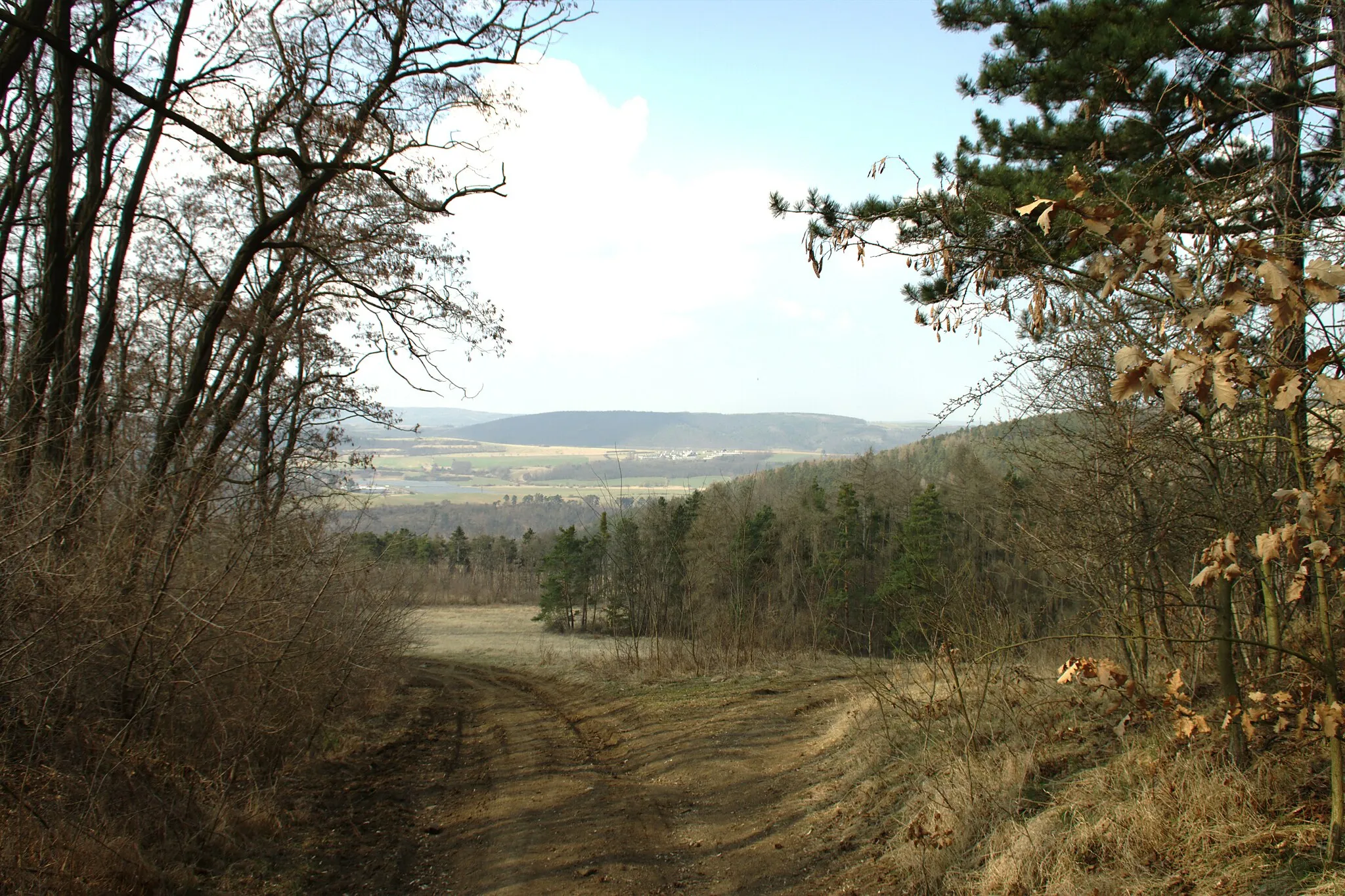 Photo showing: Landscape near the village of Slavíky (part of the town of Tmaň) in Central Bohemian Region, CZ