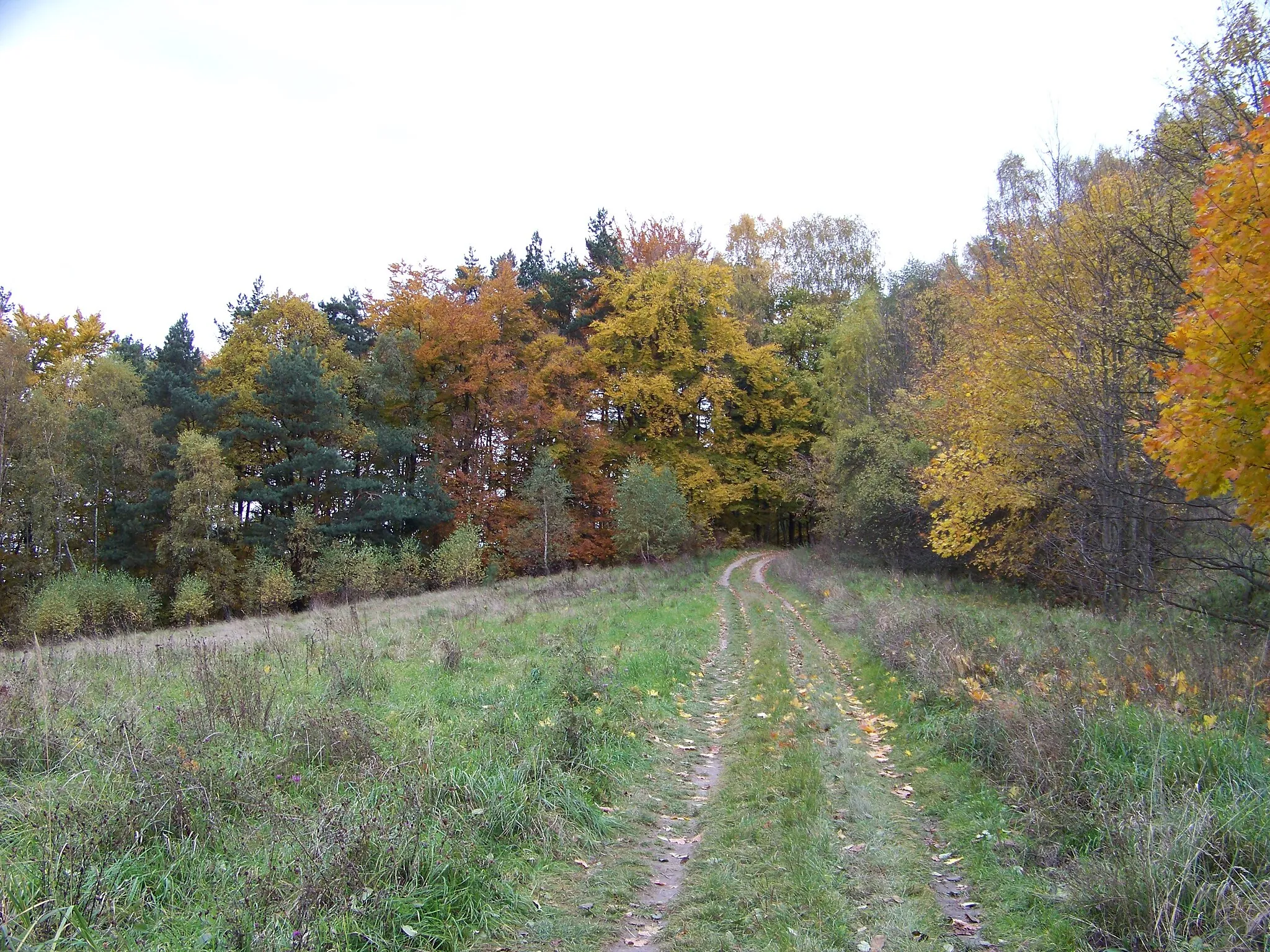 Photo showing: A way near Lipový vrch, Houska, Česká Lípa District, Liberec Region, the Czech Republic.