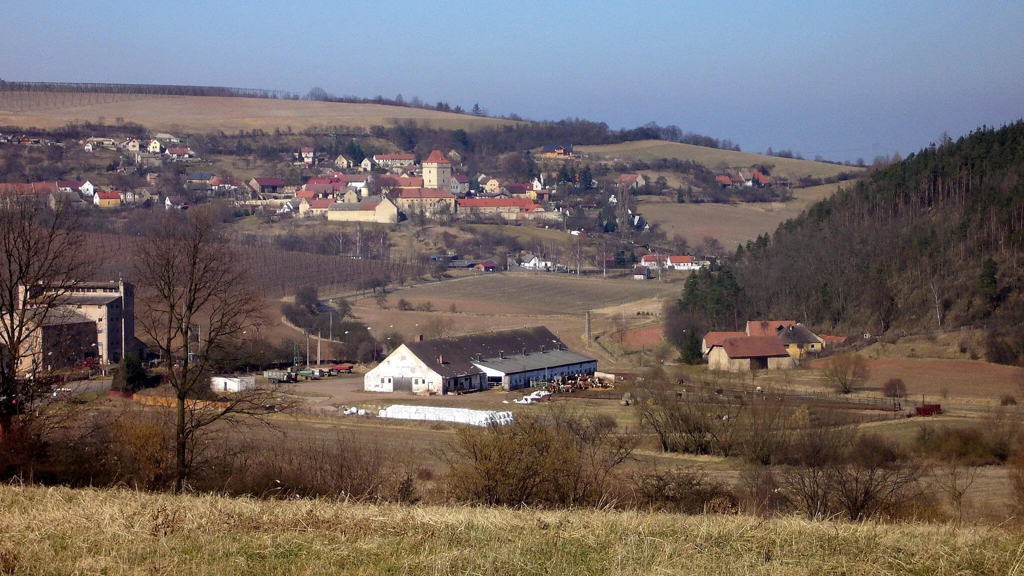 Photo showing: Vinařice - pohled z hradu na vesnici Divice s tvrzí