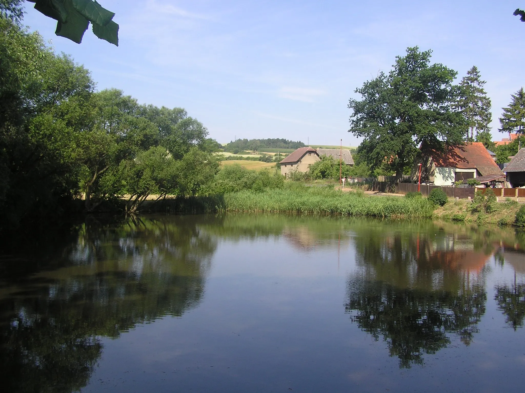 Photo showing: Pond in Vinařice