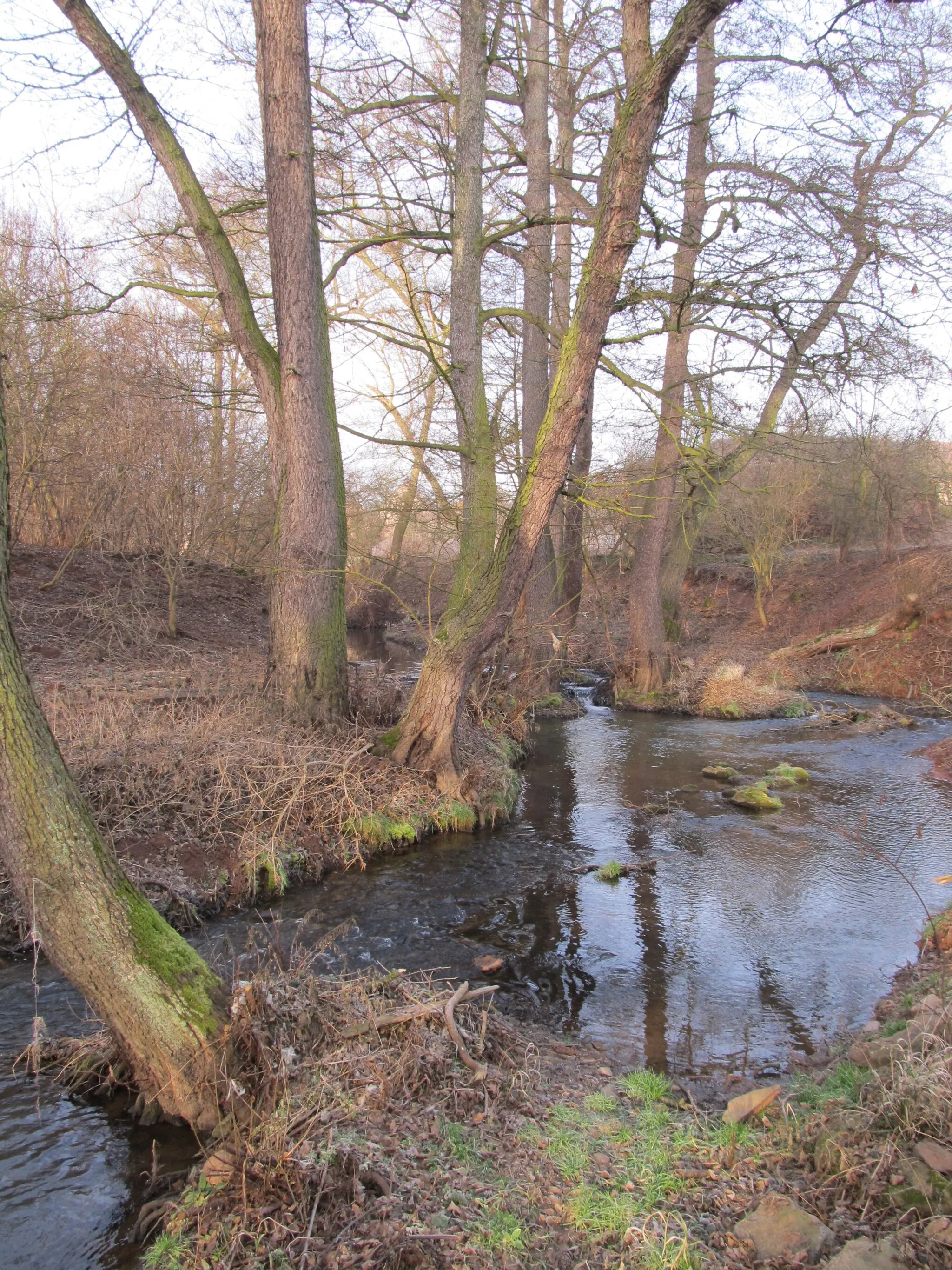 Photo showing: Blšanka pod Řepany