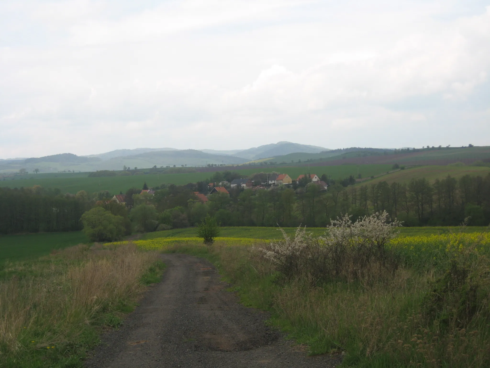 Photo showing: Total view of Řepany