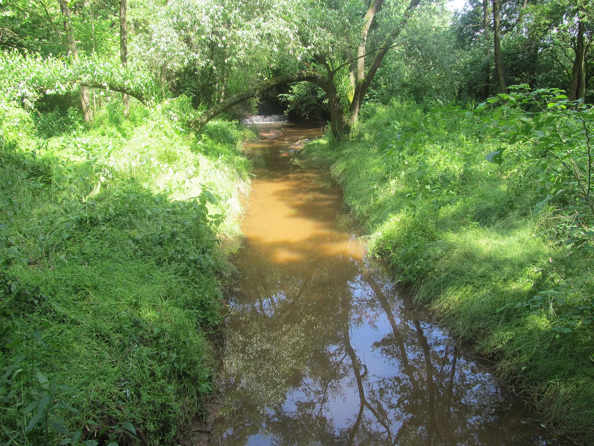 Photo showing: Hasina creek by Lipenec
