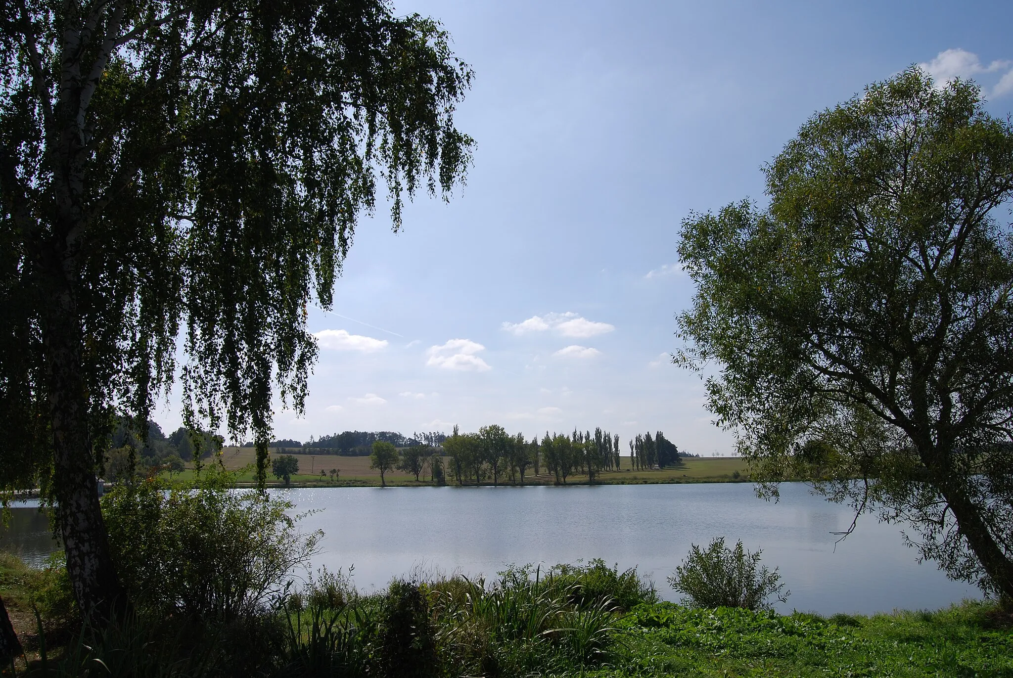 Photo showing: Labuť pond near Myštice village, Strakonice district.