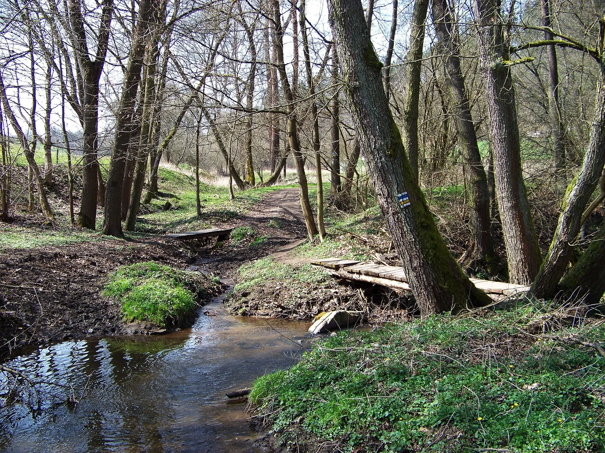 Photo showing: Řehenice-Gabrhele, Benešov District, Central Bohemian Region, Czech Republic. Mokřanský potok.