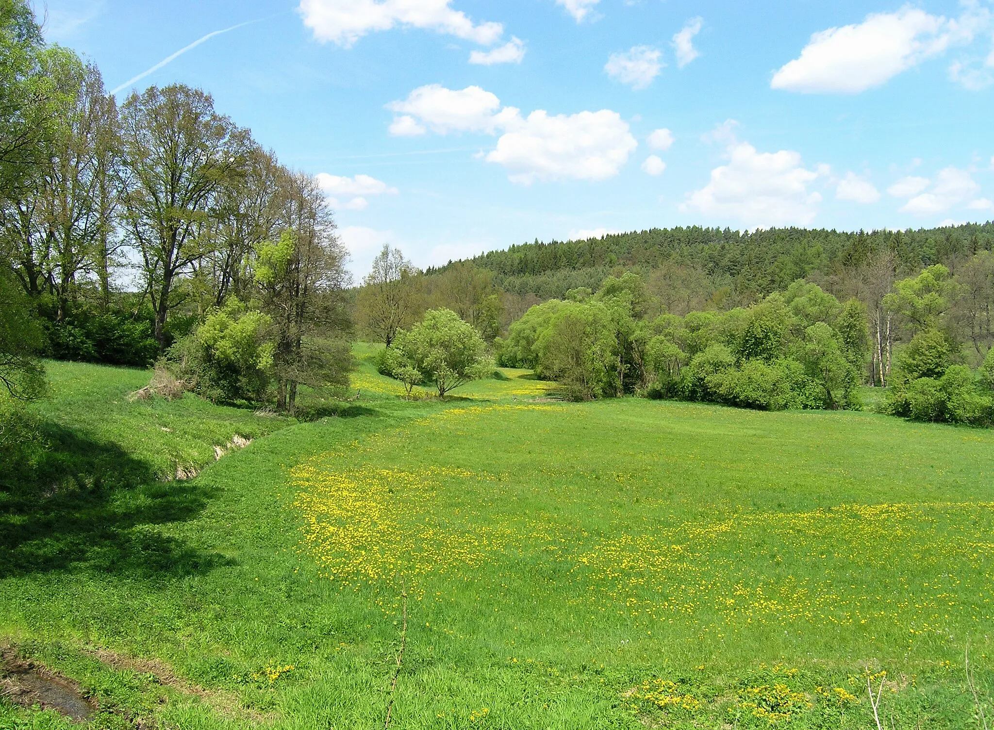 Photo showing: Landscape by Křenovice, part of Vojkov village, Czech Republic