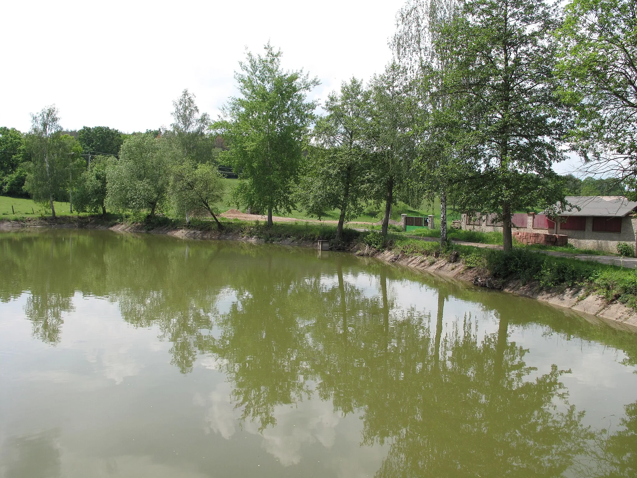 Photo showing: Rybník v Loutí.
