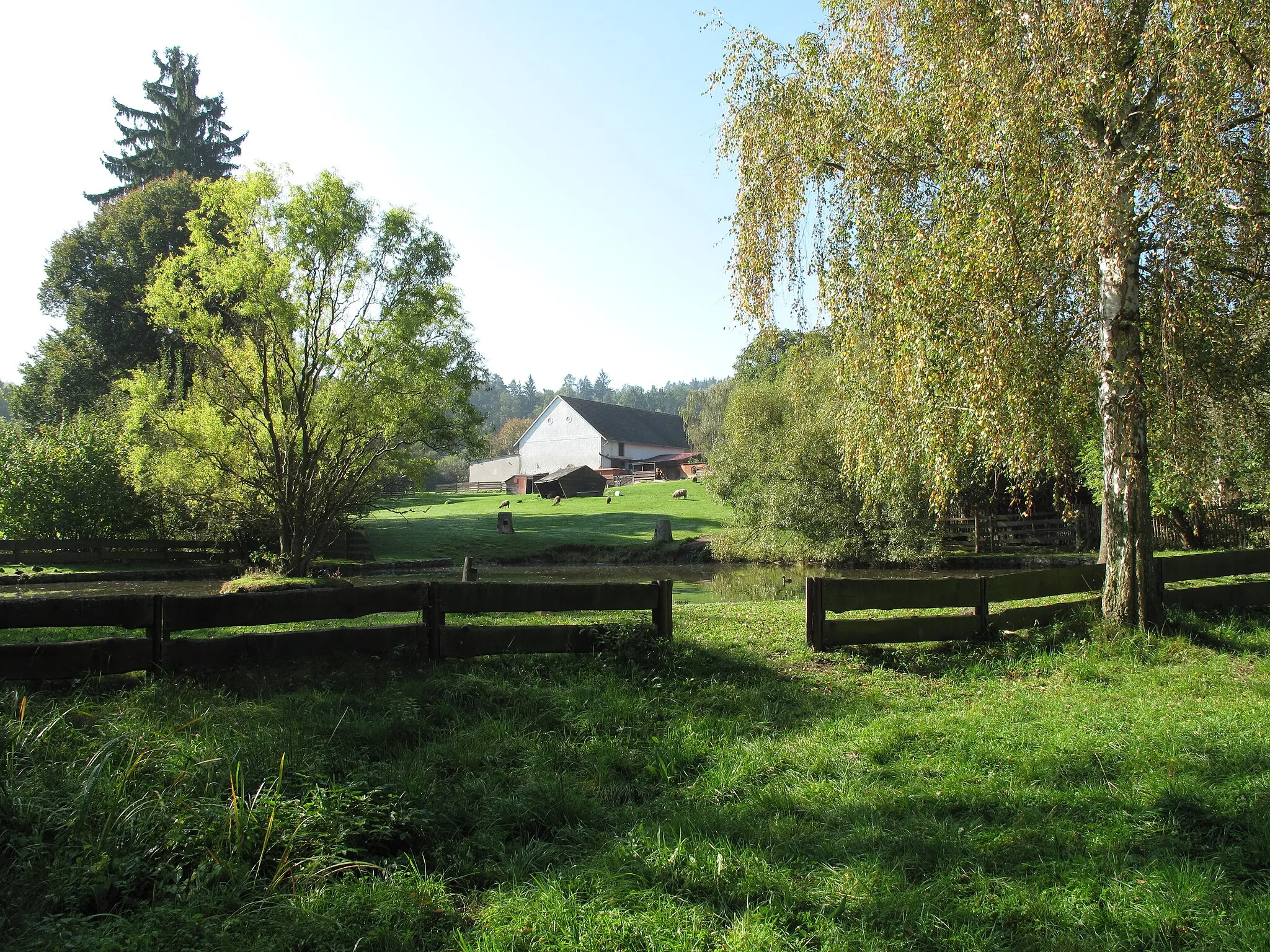 Photo showing: Pondin Dunávice. Benešov District, Czech Republic.