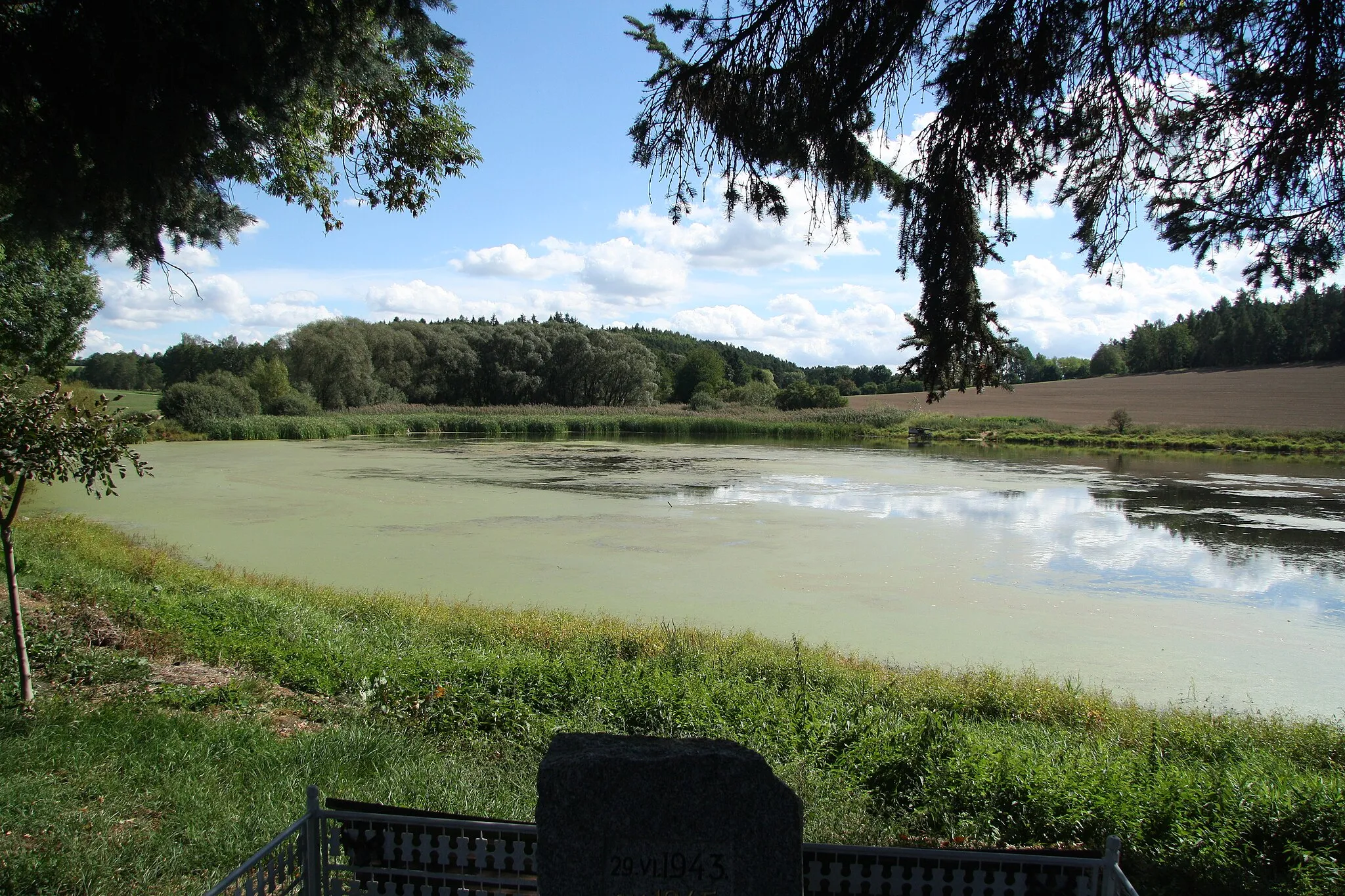 Photo showing: Jeptiška pond in Hodětice, Křečovice, Benešov District.