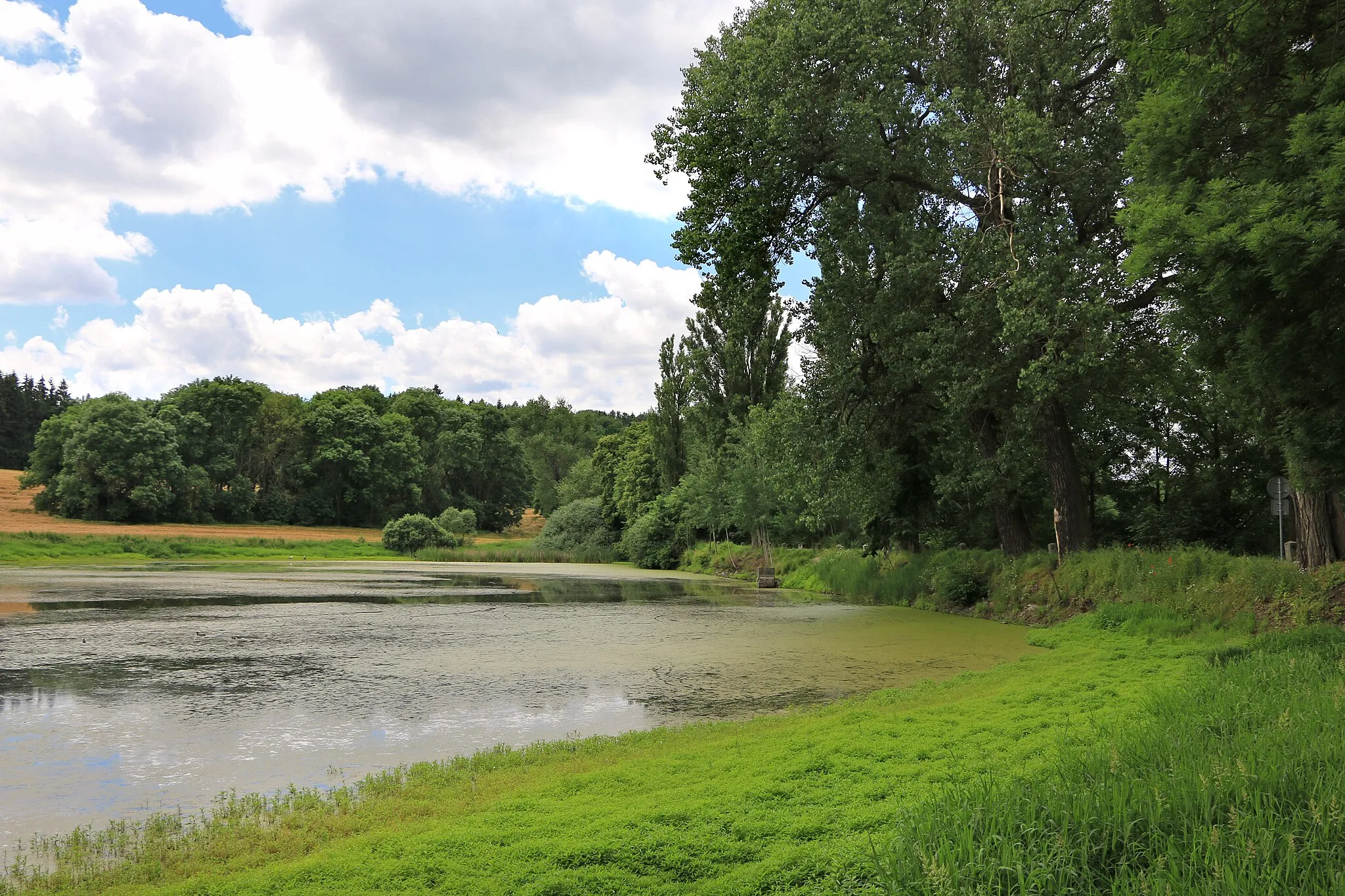 Photo showing: Jeptiška pond in Hodětice, part of Křečovice, Czech Republic.