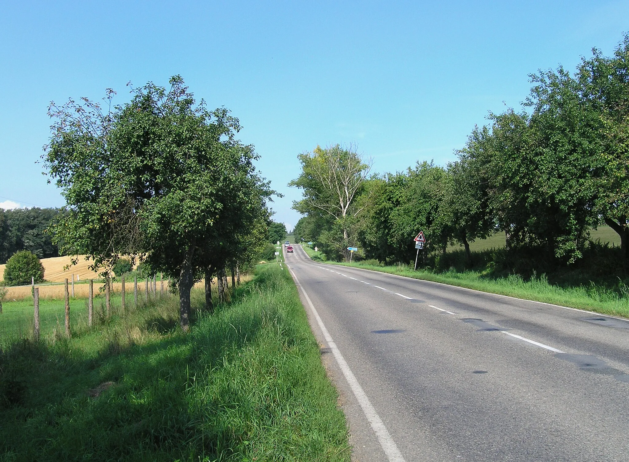 Photo showing: Road No 112 by Křemení, part of Chotýšany village, Czech Republic