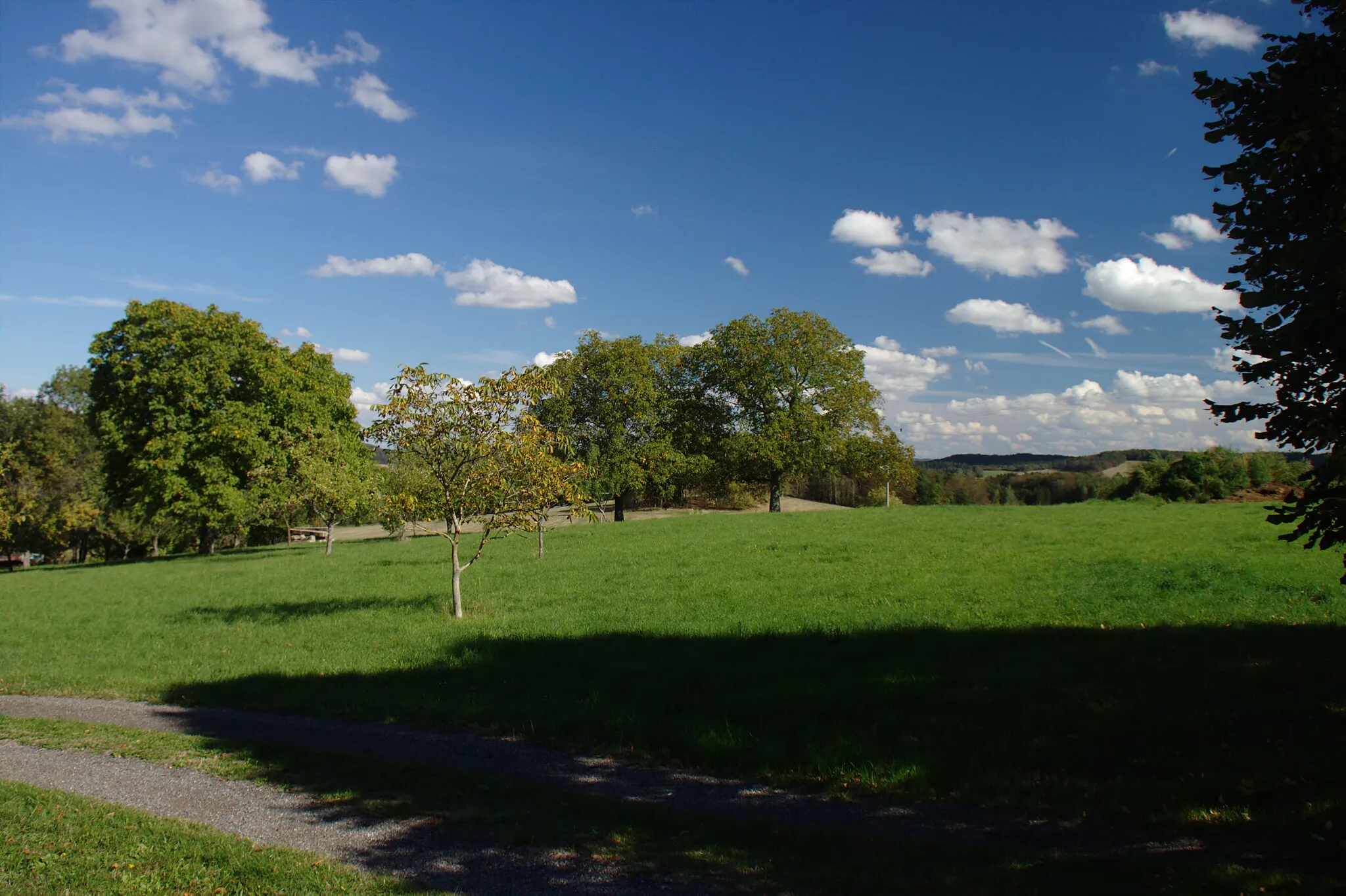 Photo showing: A meadow south from the village of Kobylí in Central Bohemia, CZ