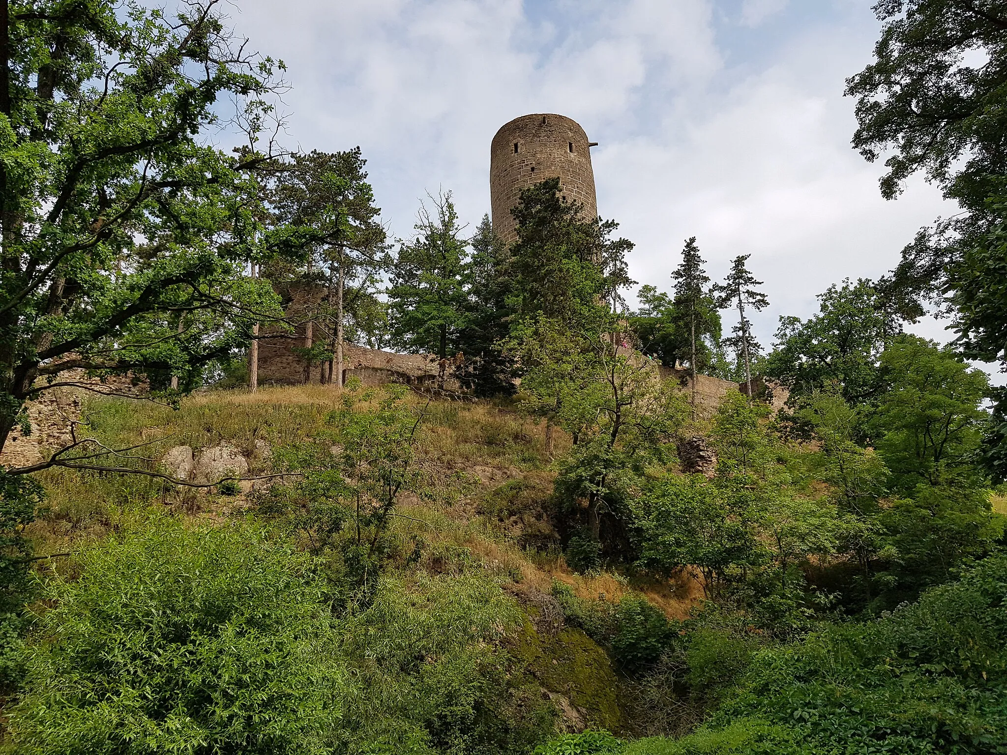 Photo showing: Zřícenina hradu Žebrák