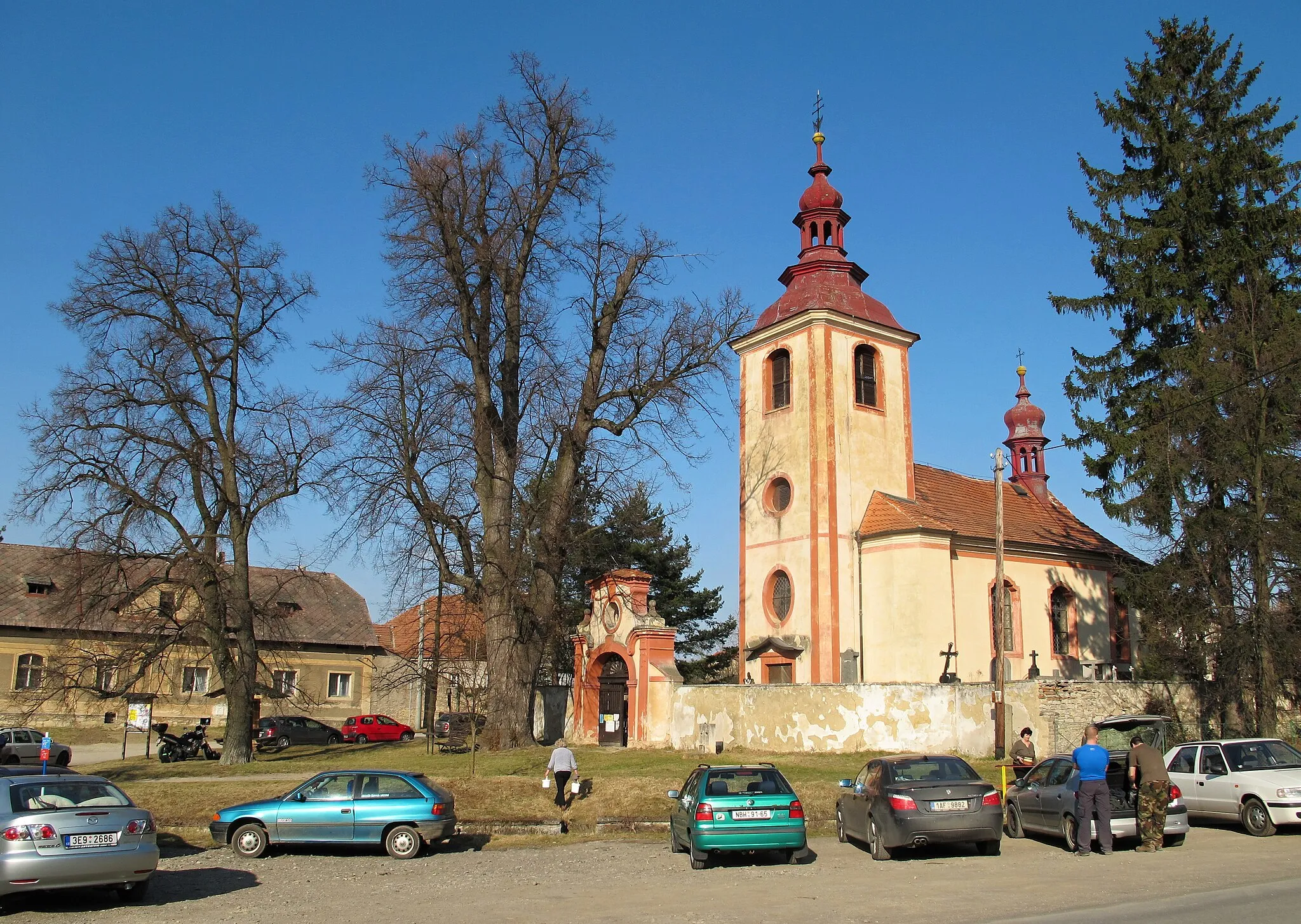Photo showing: Famous trees next to the church of the Saint Stanislus in Mořina, Berou District (Czech Republic)