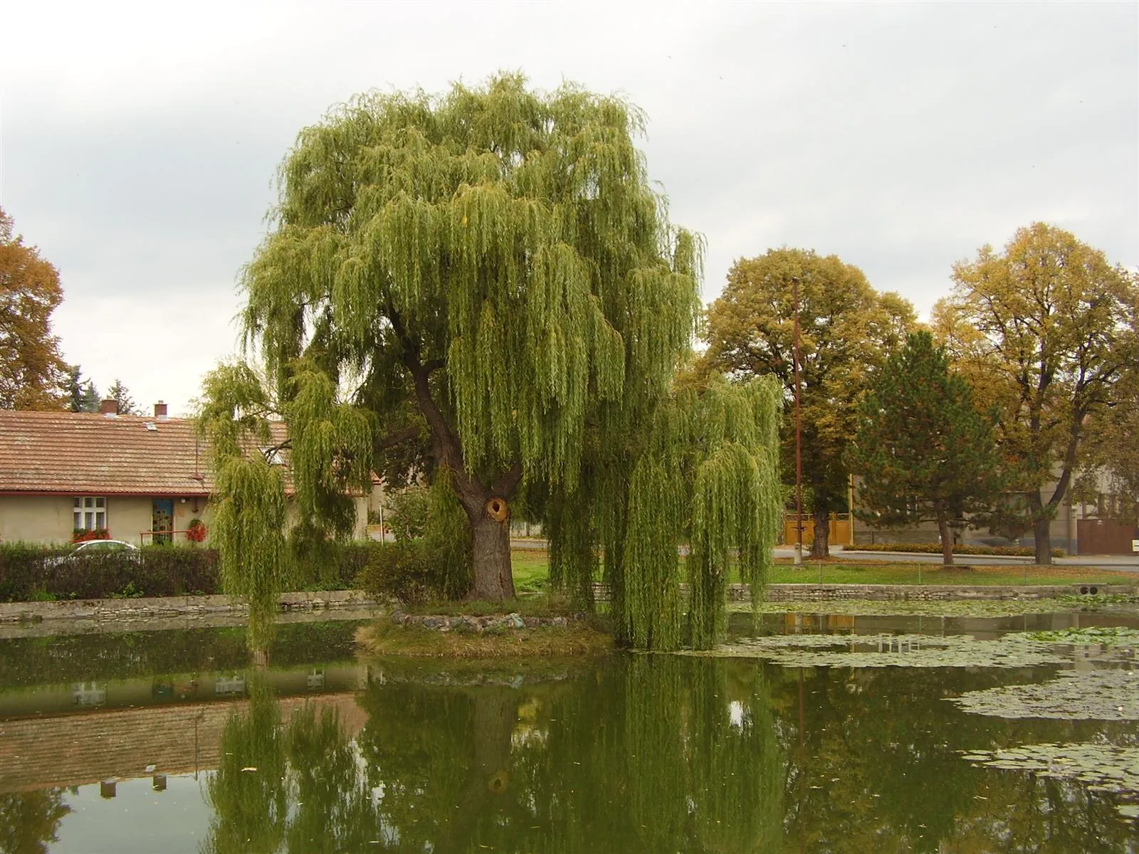 Photo showing: Chýňava near Beroun, Central Bohemian Region