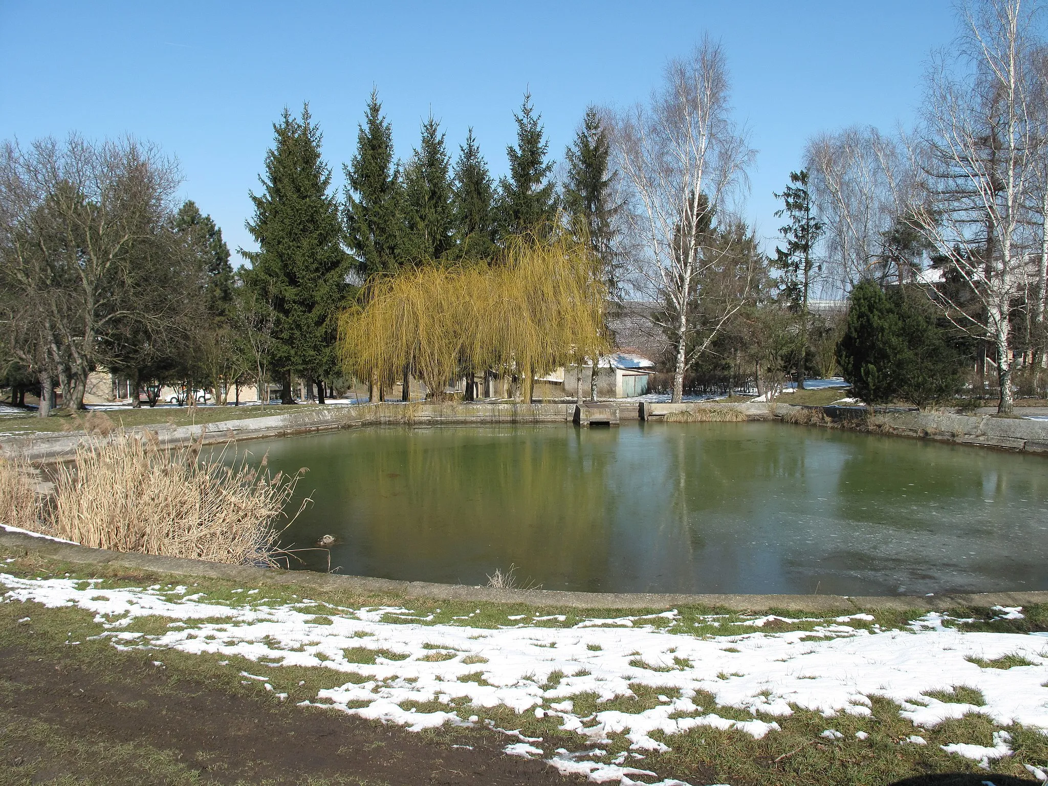 Photo showing: Pond in Lisovice village (Zlonice municipality), Kladno District, Czech Republic.