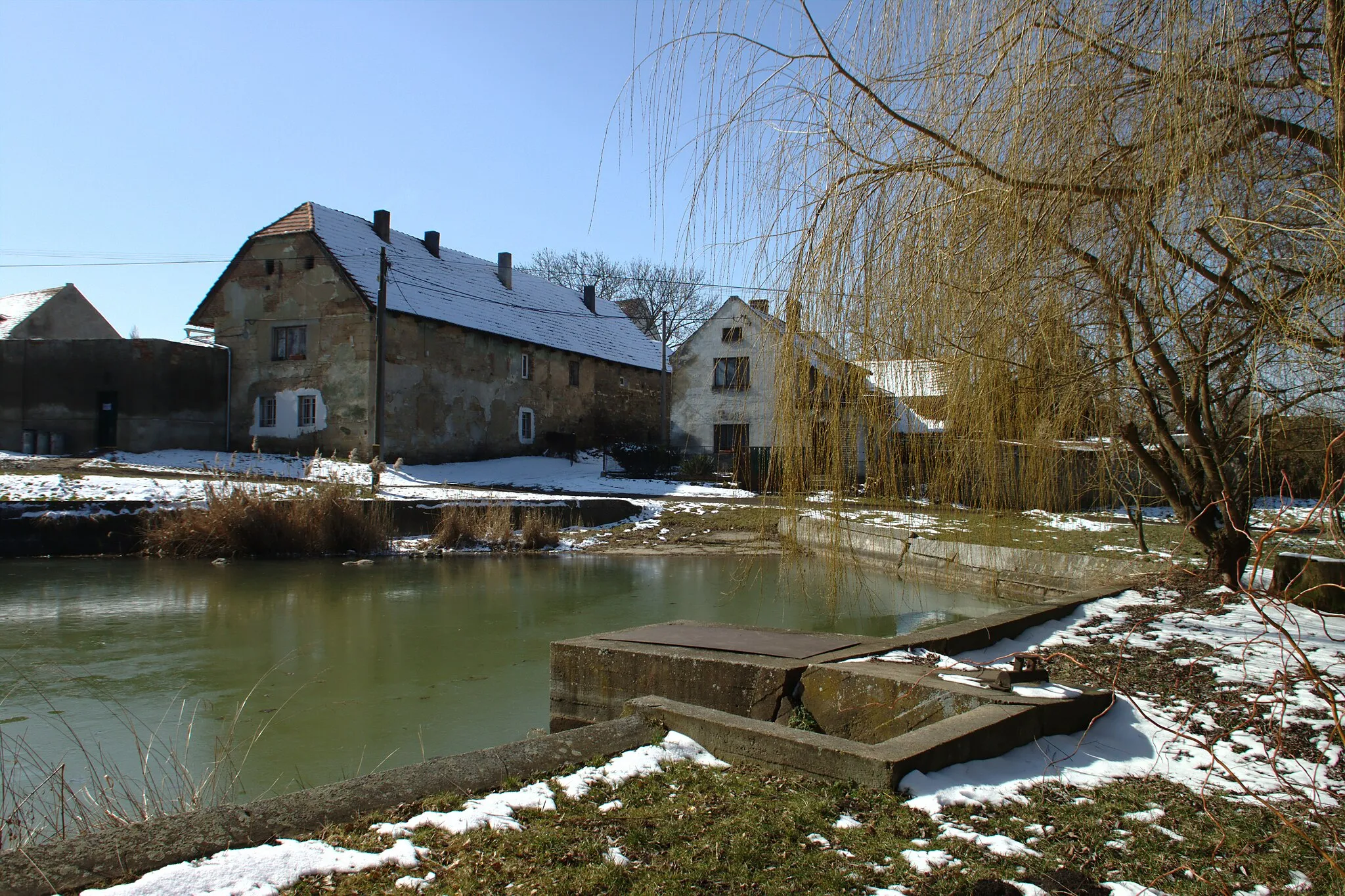 Photo showing: A pond in the central part of the town of Lisovice, Central Bohemian Region, CZ