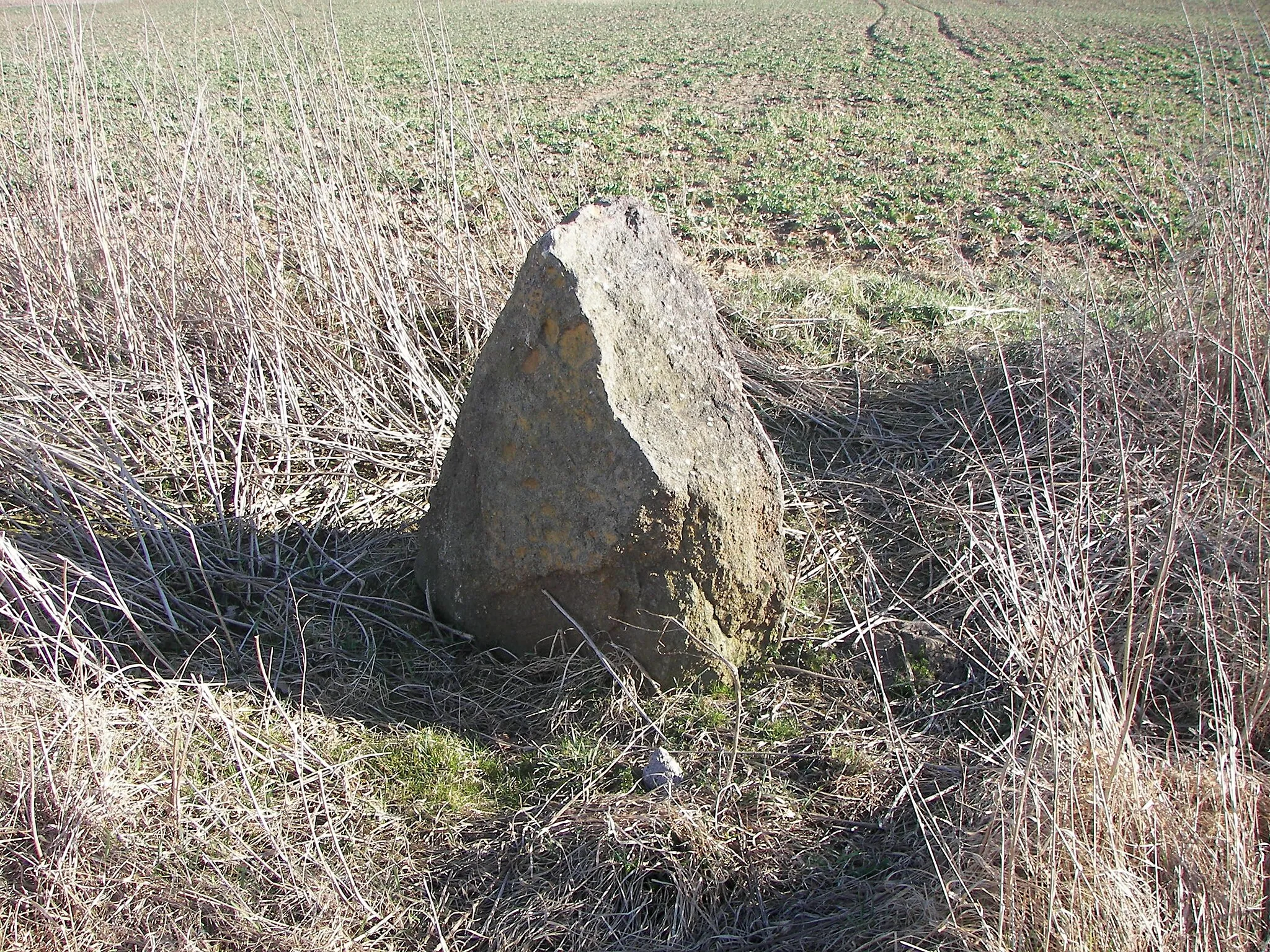 Photo showing: Menhir, který se nachází mezi Ledcemi, Přelícem a Řisuty