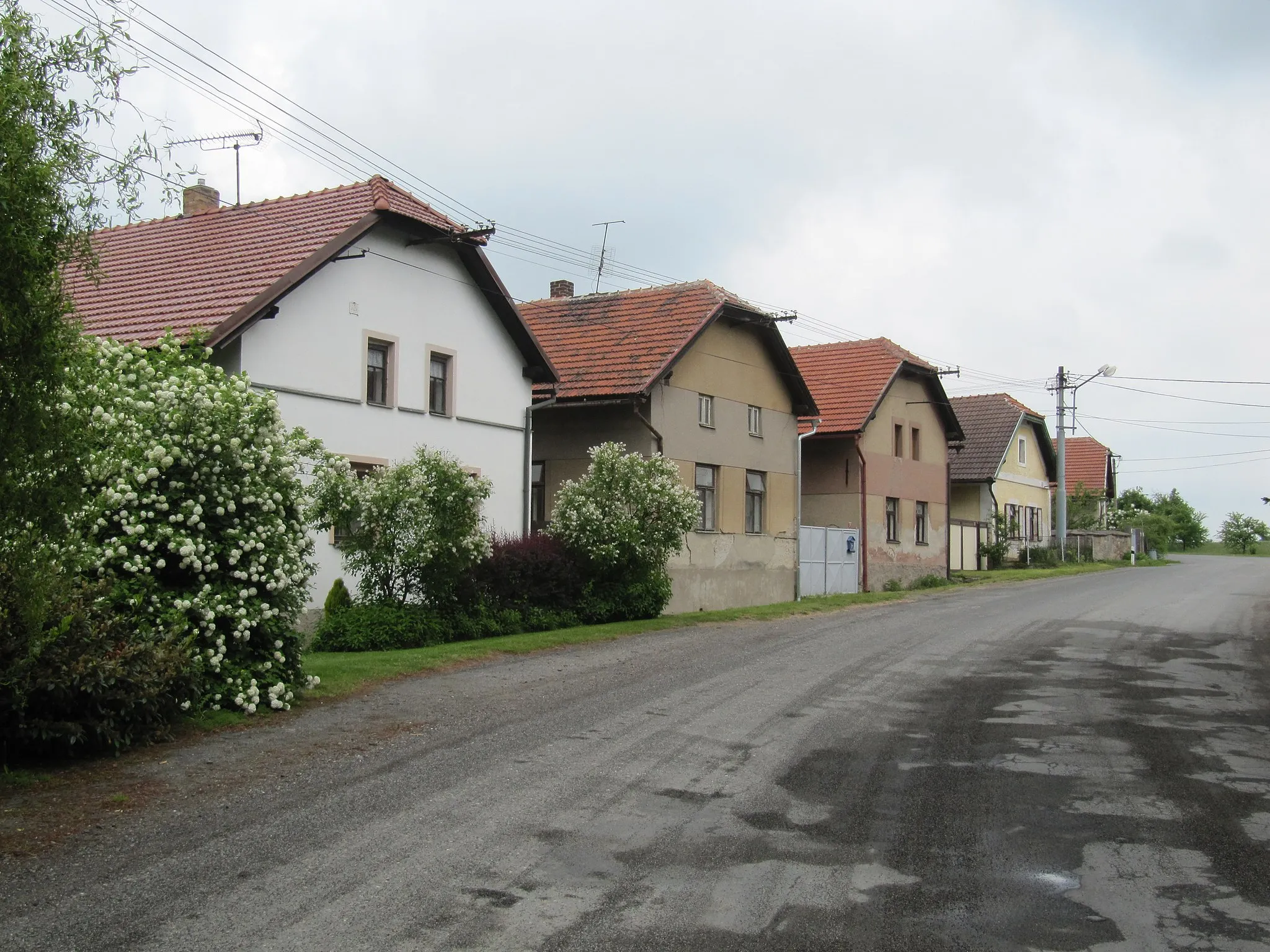 Photo showing: Zásmuky, Kolín District, Czech Republic, part Nesměň. Row of houses in the northern part of the village.