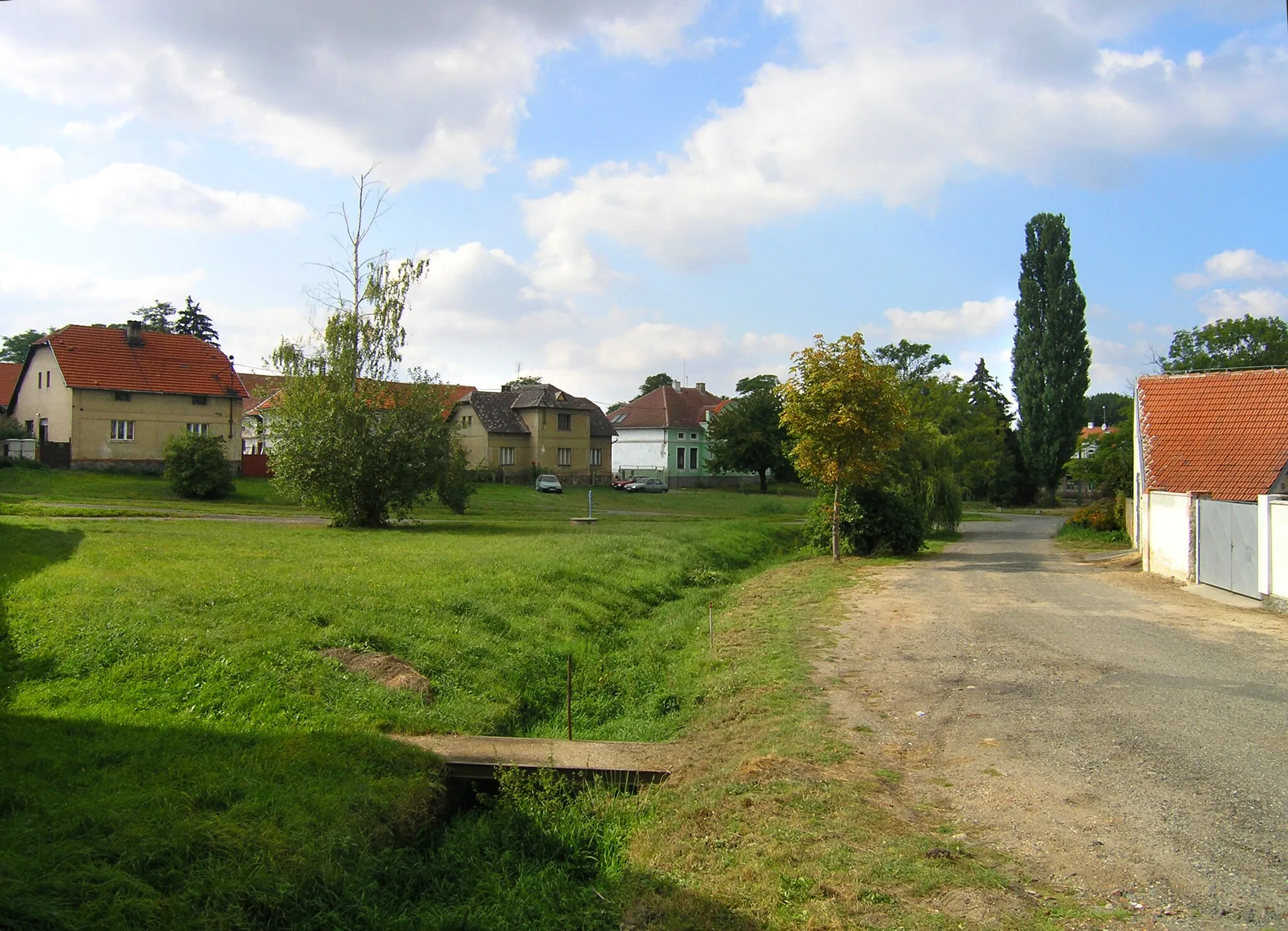 Photo showing: Common in Přišimasy, Czech Republic