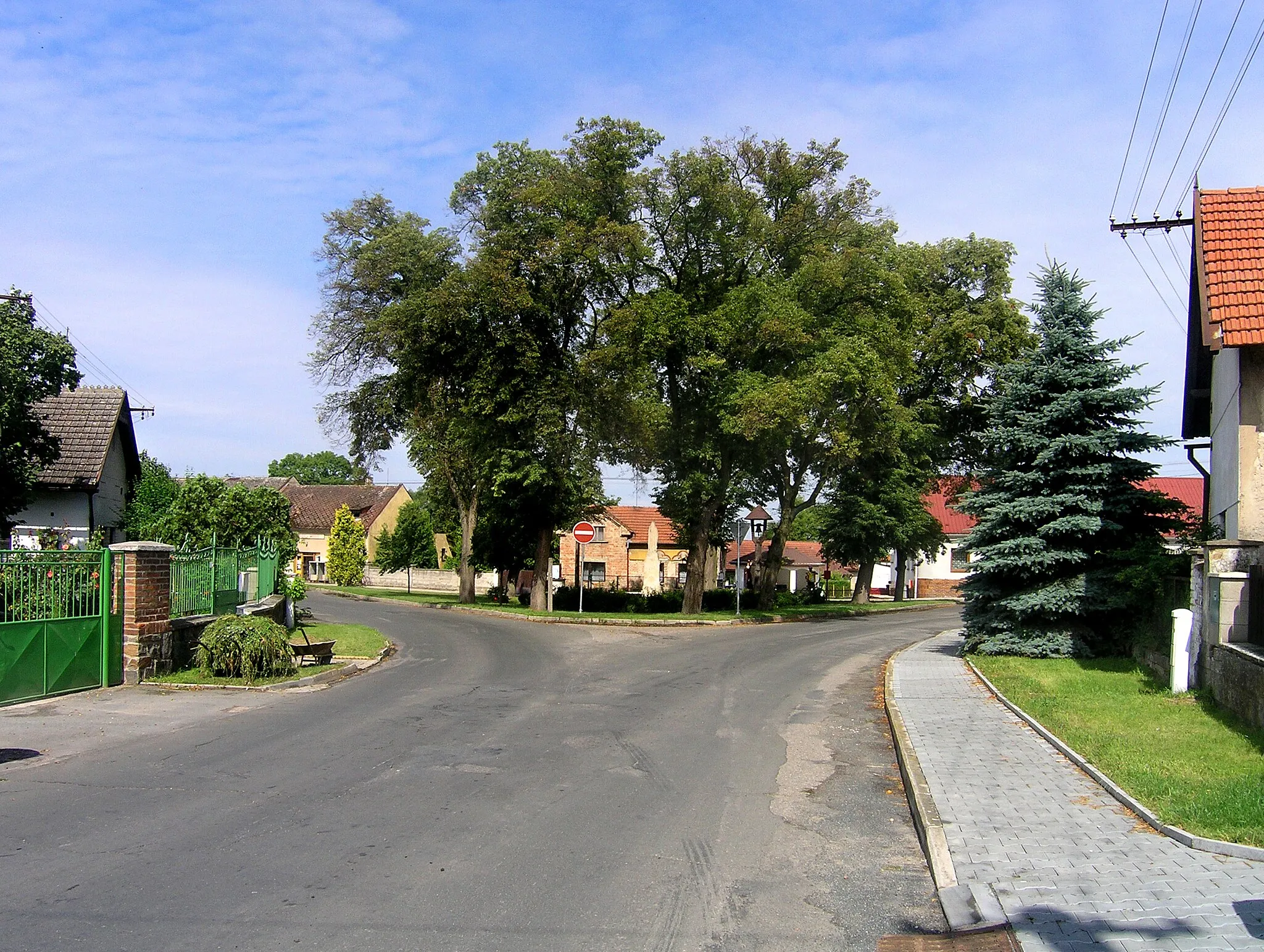 Photo showing: Common at Němčice, Czech Republic