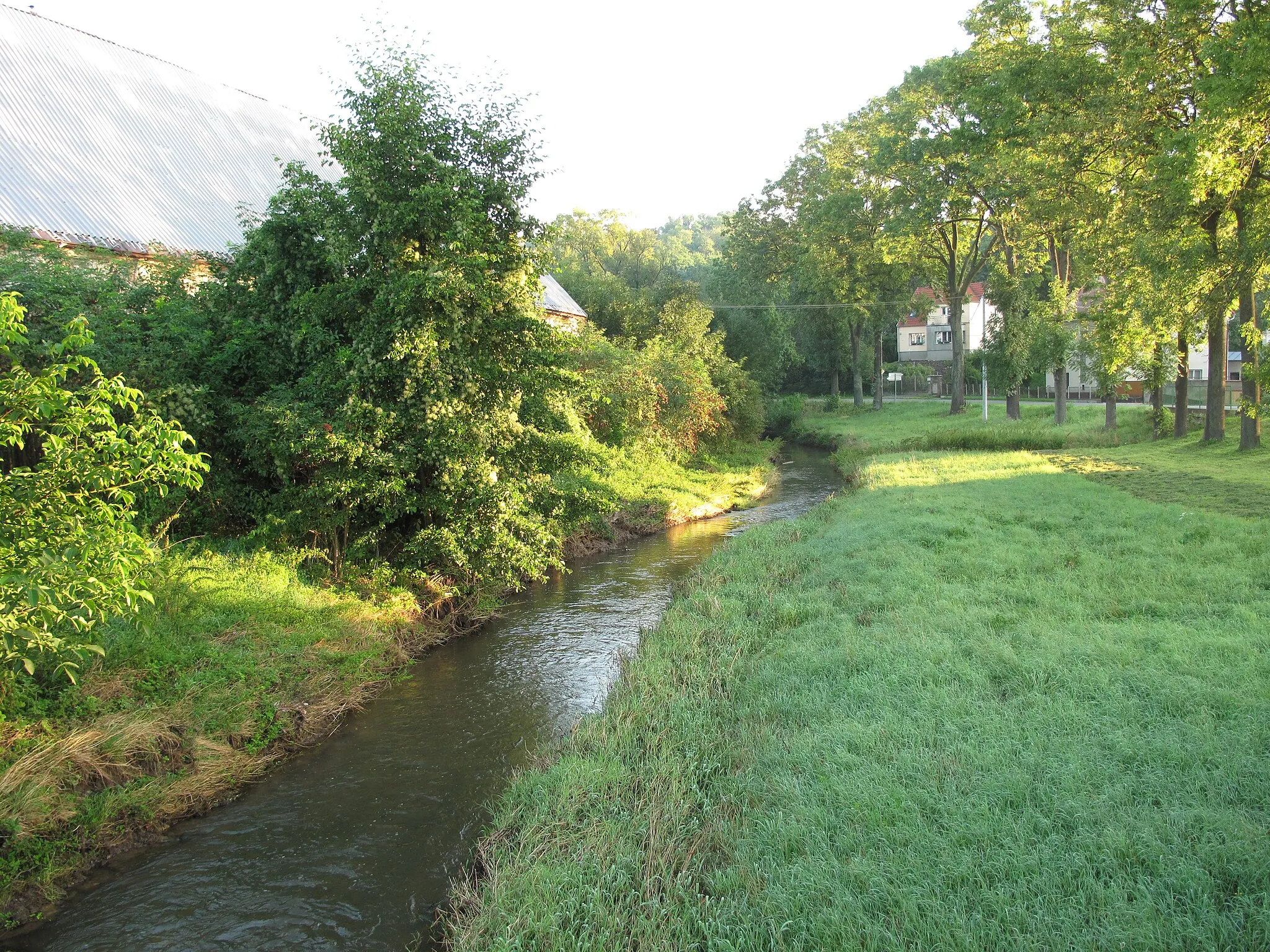 Photo showing: Šembera River in Klučov village, Kolín District, Czech Republic.