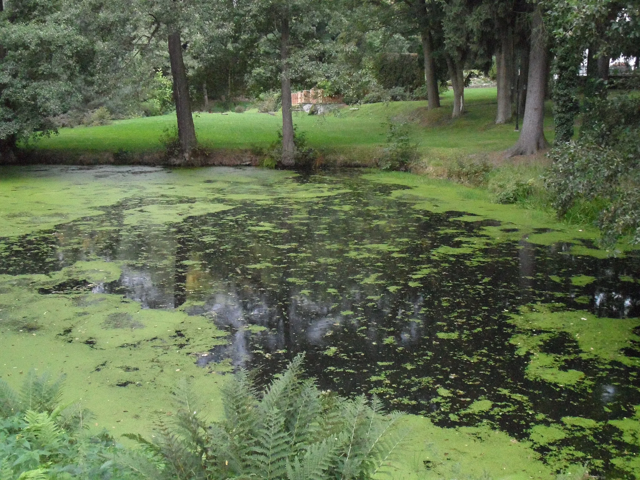 Photo showing: Morány B. Small Lake in Park, Kutná Hora District, the Czech Republic.