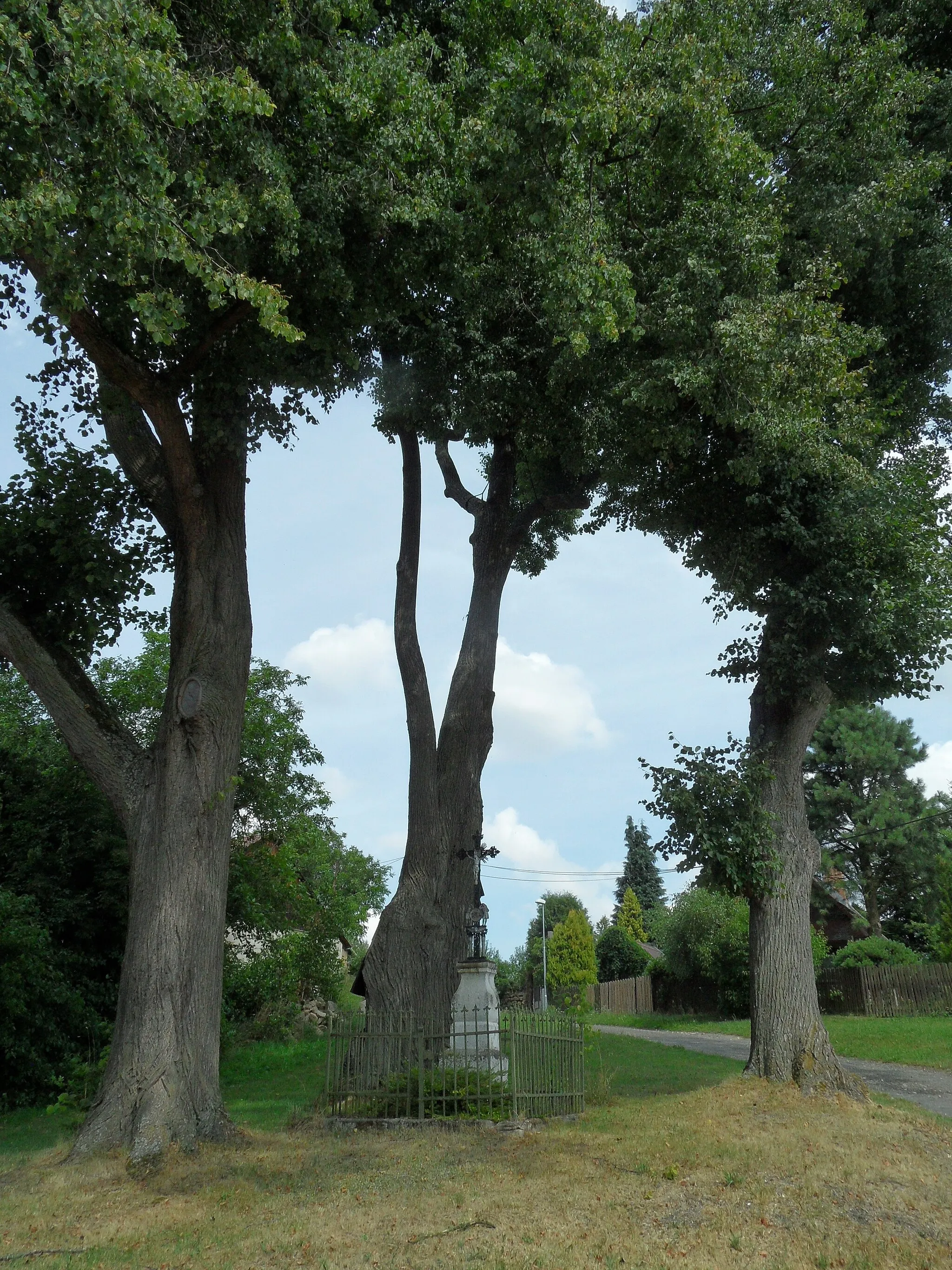 Photo showing: Velká Skalice (Zbraslavice) A. Crucifix surrounded by Trees, Kutná Hora District, the Czech Republic.