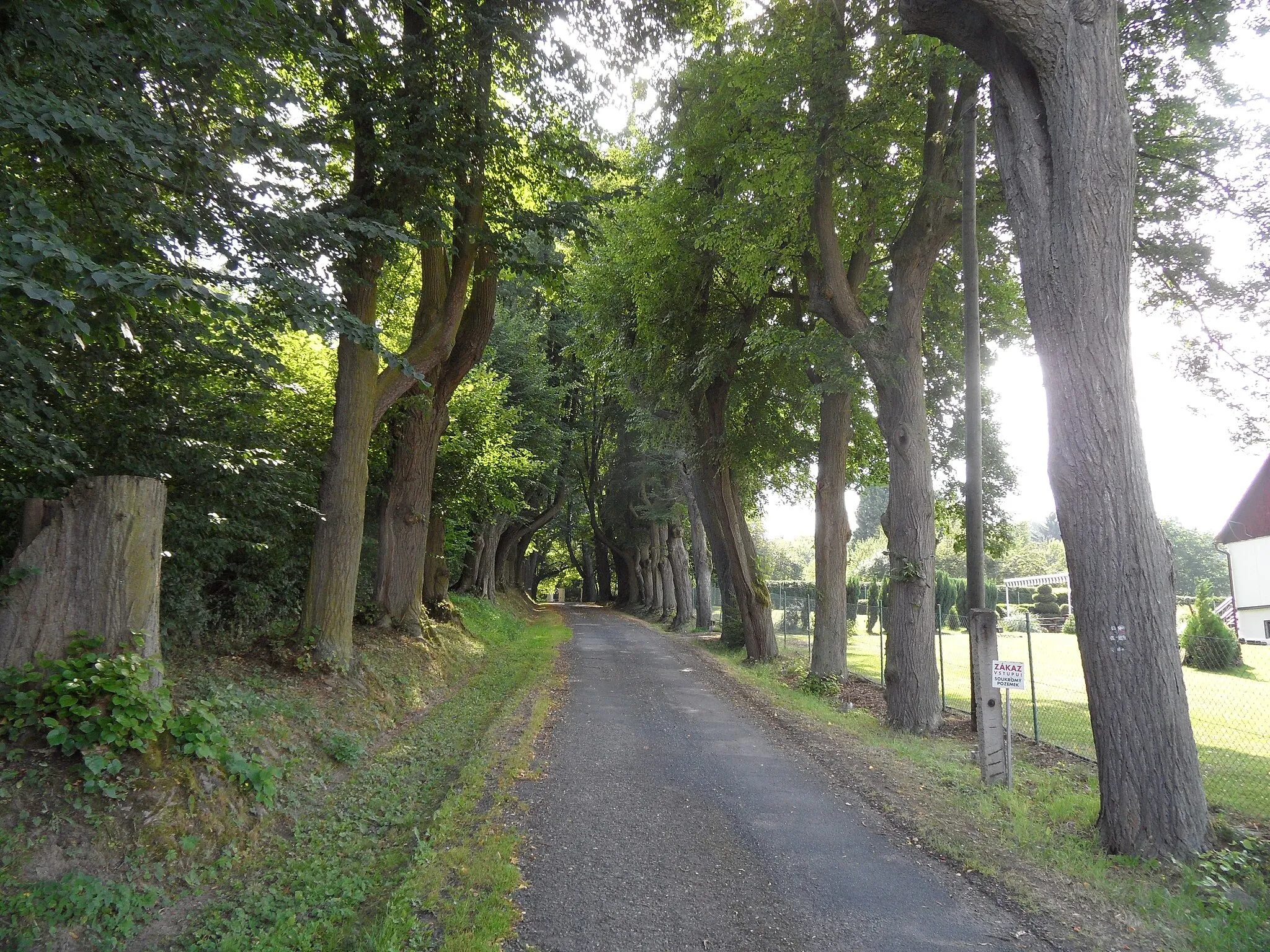 Photo showing: Roztěž C. Alley to Chateau, Kutná Hora District, the Czech Republic.