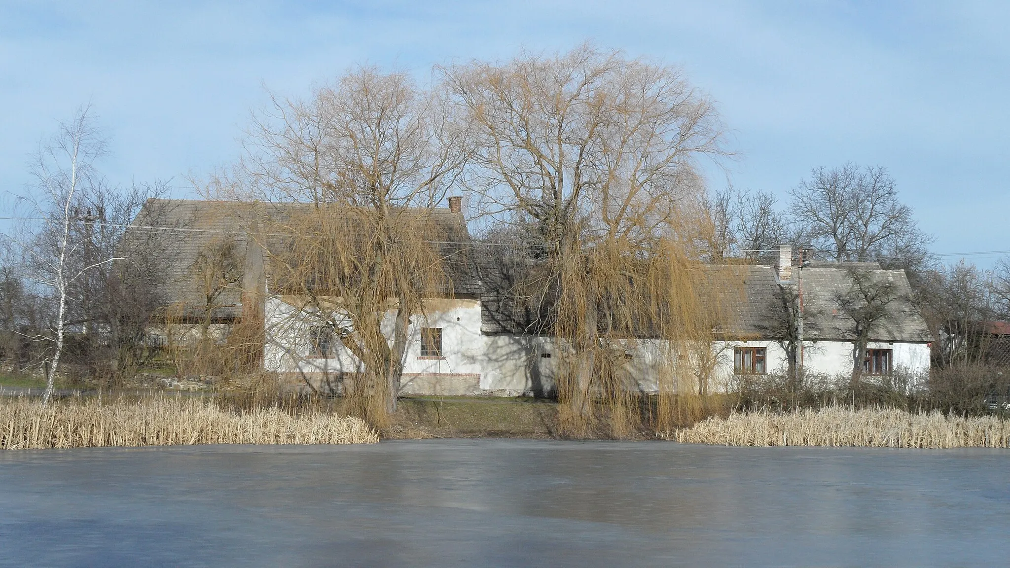 Photo showing: Opatovice I. N. Upper Part of Village: Willow Trees and Houses in Background , Kutná Hora District, the Czech Republic.