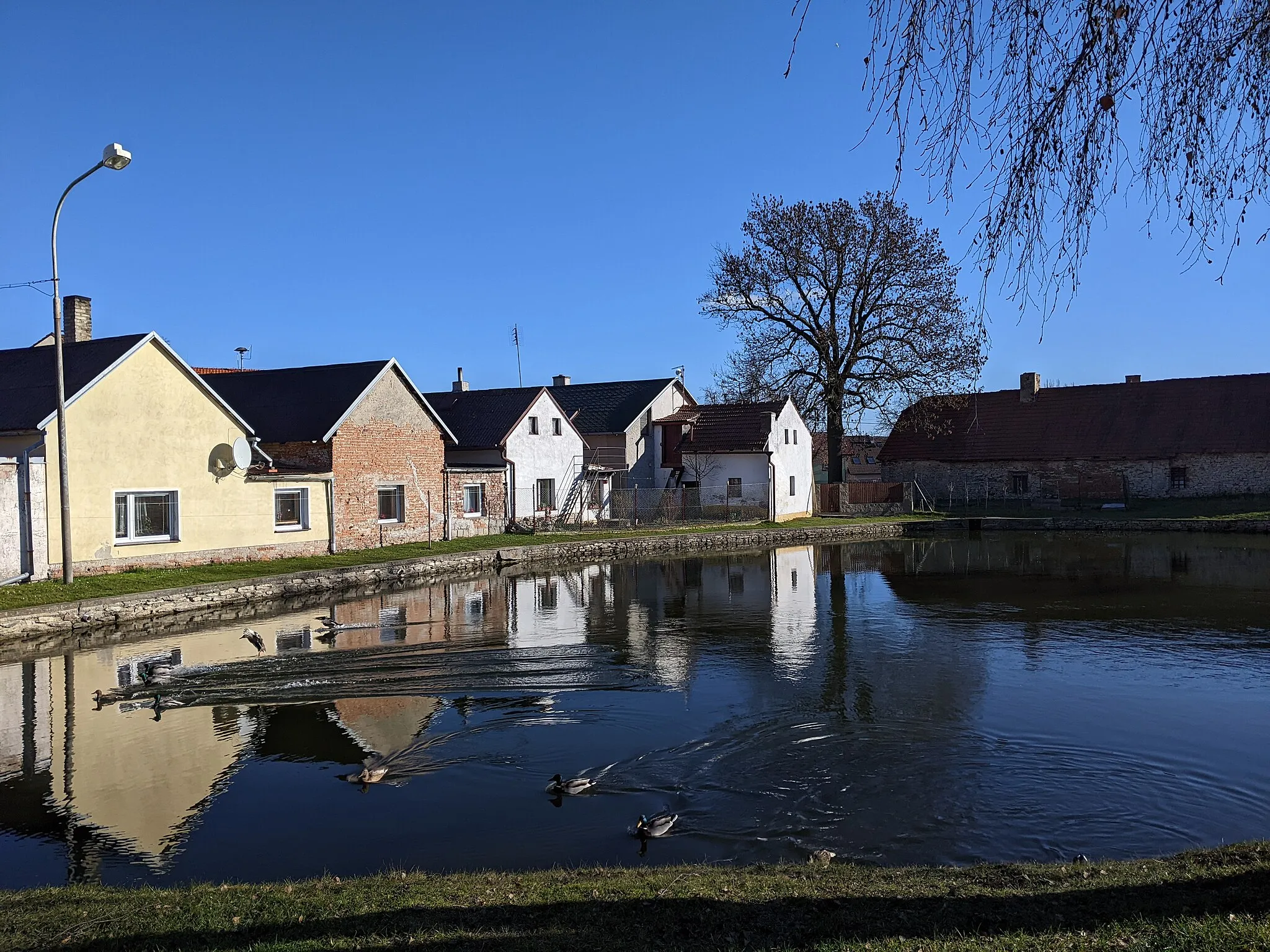 Photo showing: Miskovice - rybník u hasičárny, za ním zadní trakty chalup v okolí čp. 75 a 76