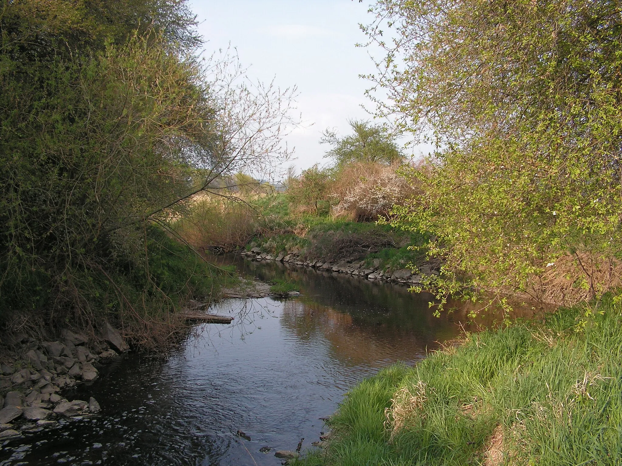 Photo showing: Ústí Brslenky do Doubravy severně od Žehušic v okrese Kutná Hora