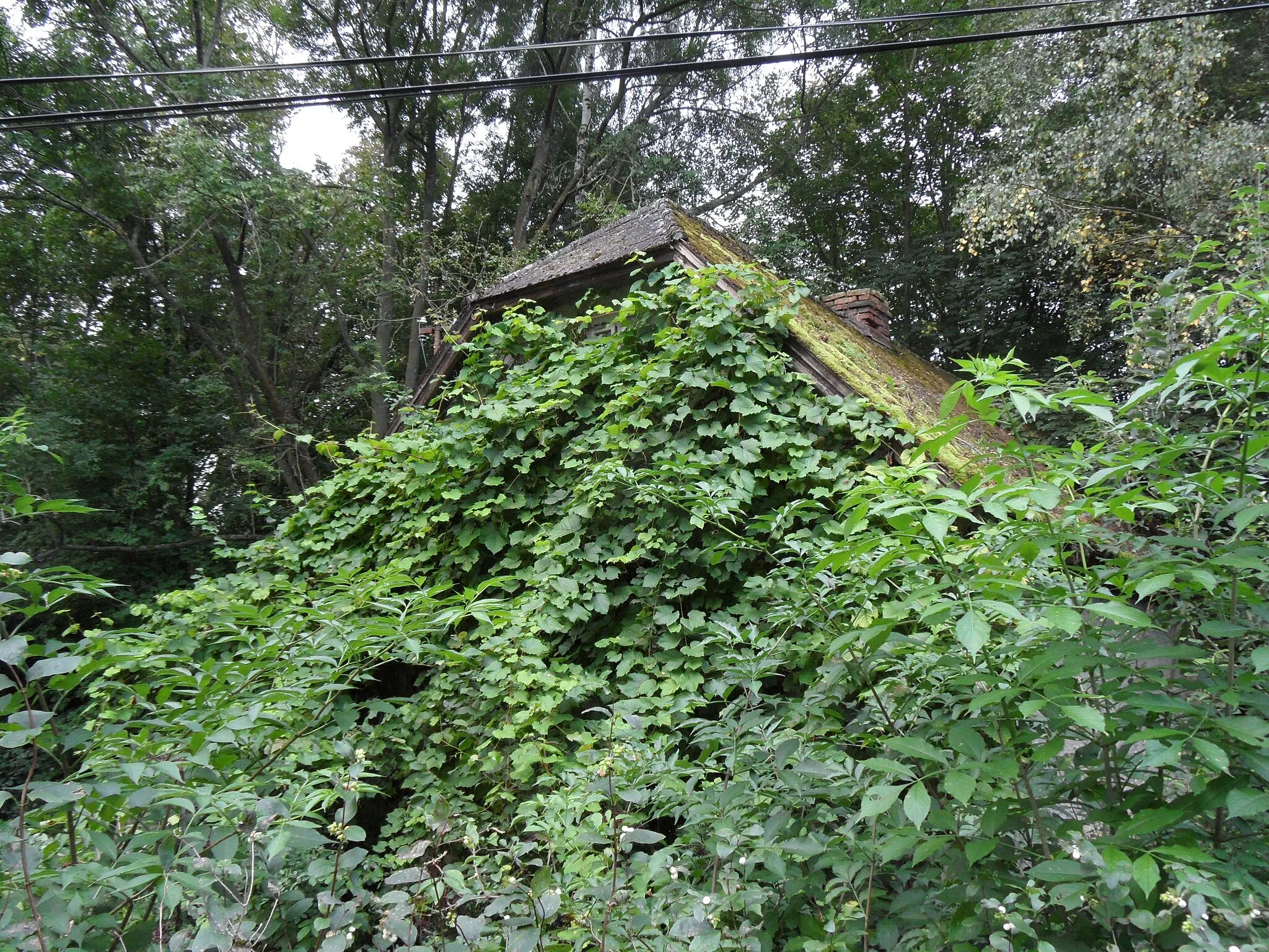 Photo showing: Kralice (Chlístovice) I. Damaged Cultural Monument: Blacksmith's Workshop No. 35, Kutná Hora District, the Czech Republic.