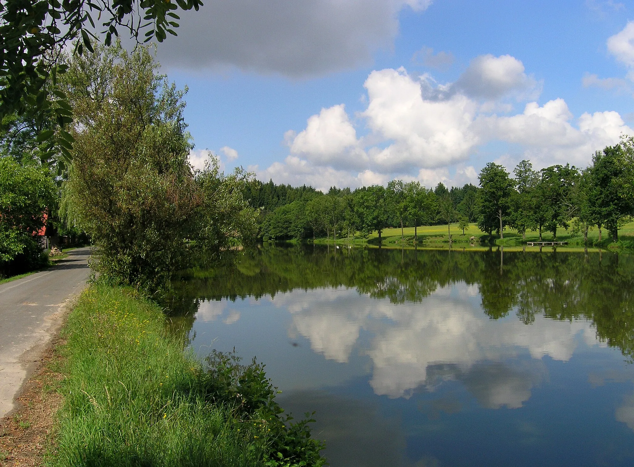 Photo showing: Řeplický Pond in Řeplice, part of Bohdaneč, Czech Republic