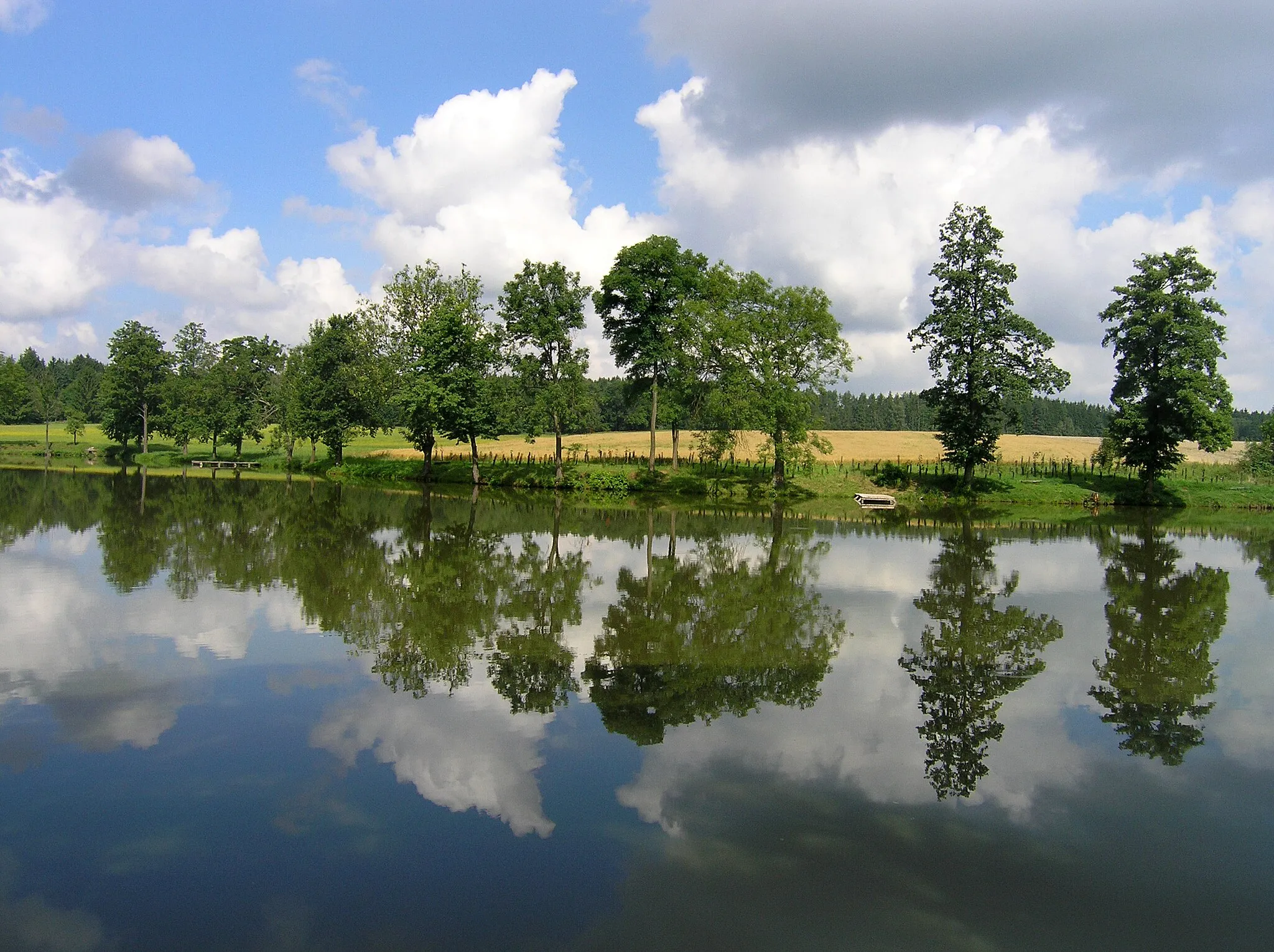 Photo showing: Řeplický Pond in Řeplice, part of Bohdaneč, Czech Republic