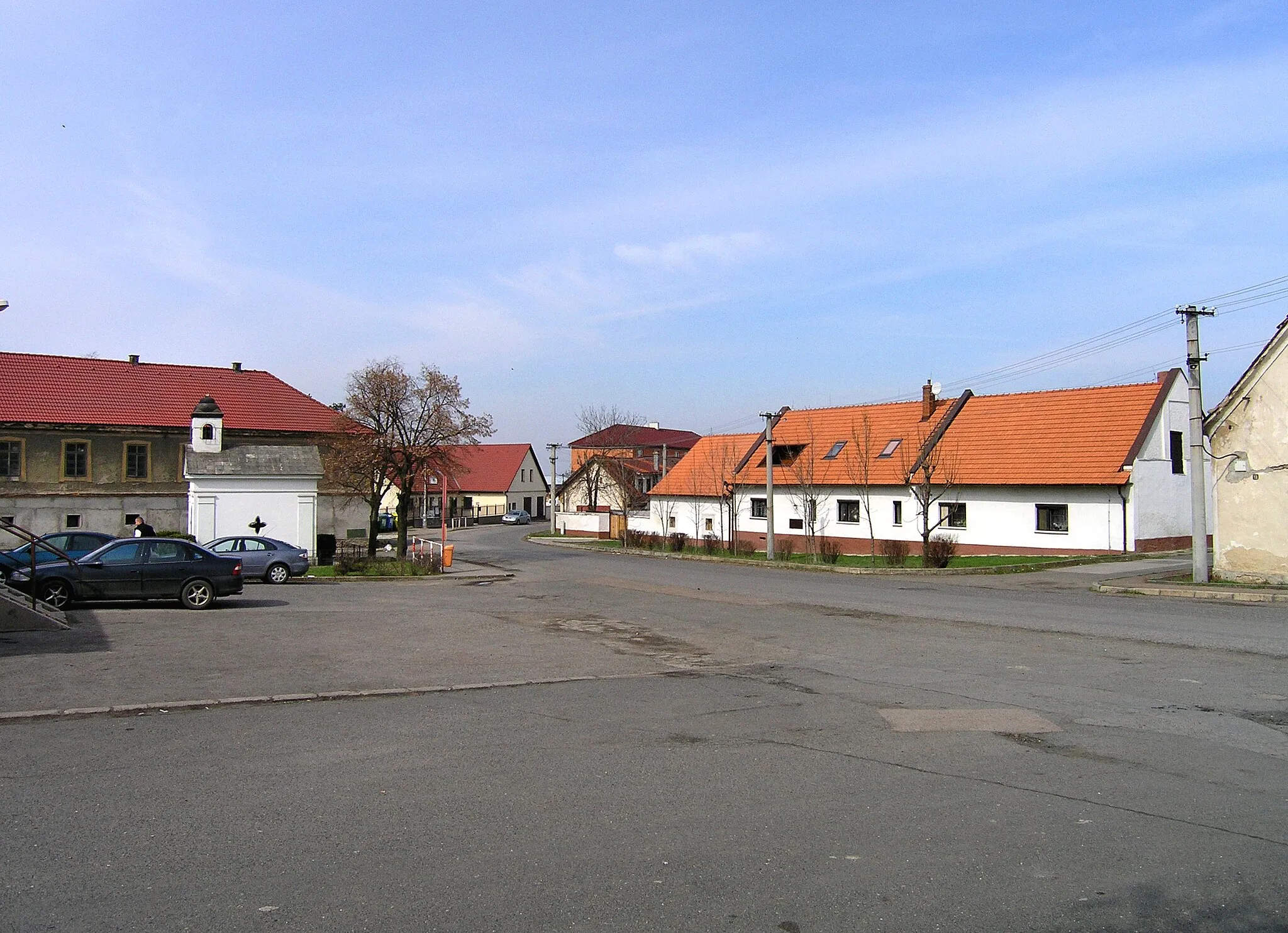 Photo showing: Common in Postřižín, Czech Republic