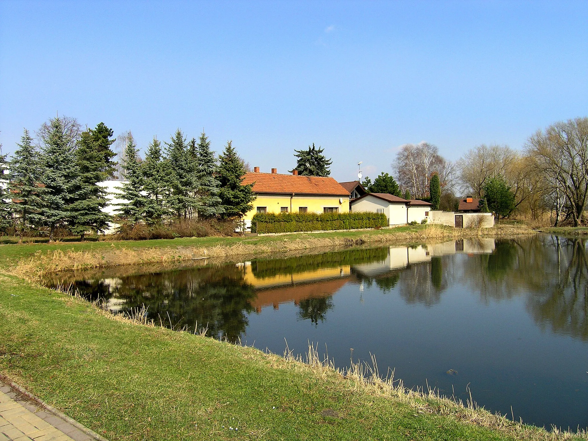 Photo showing: Common pond in Nedomice village, Czech Republic