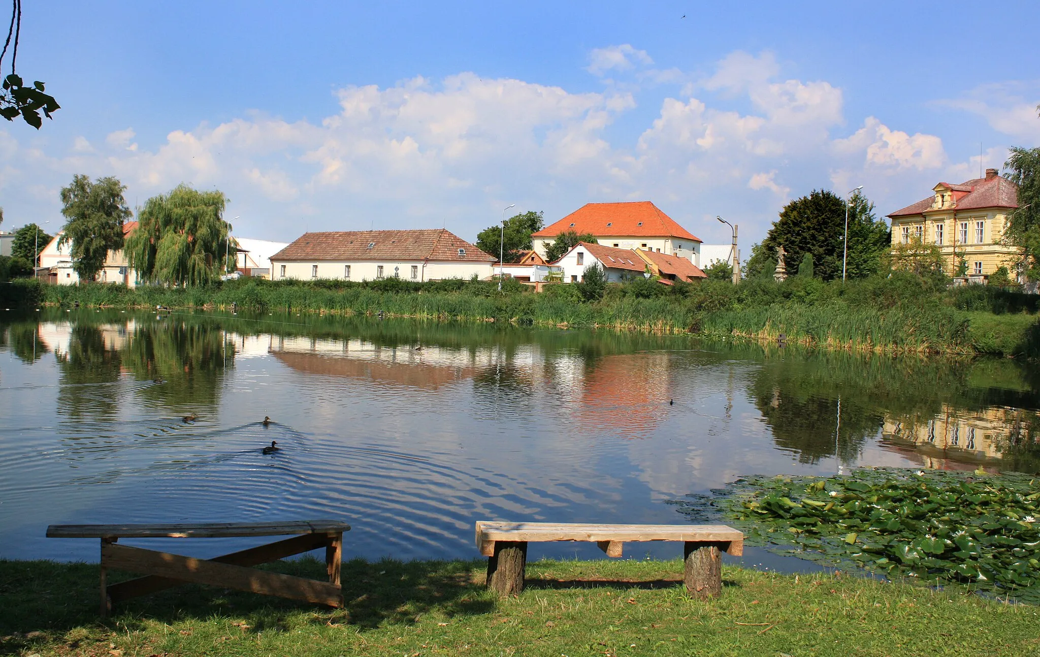 Photo showing: Pond in Bezno, Czech Republic