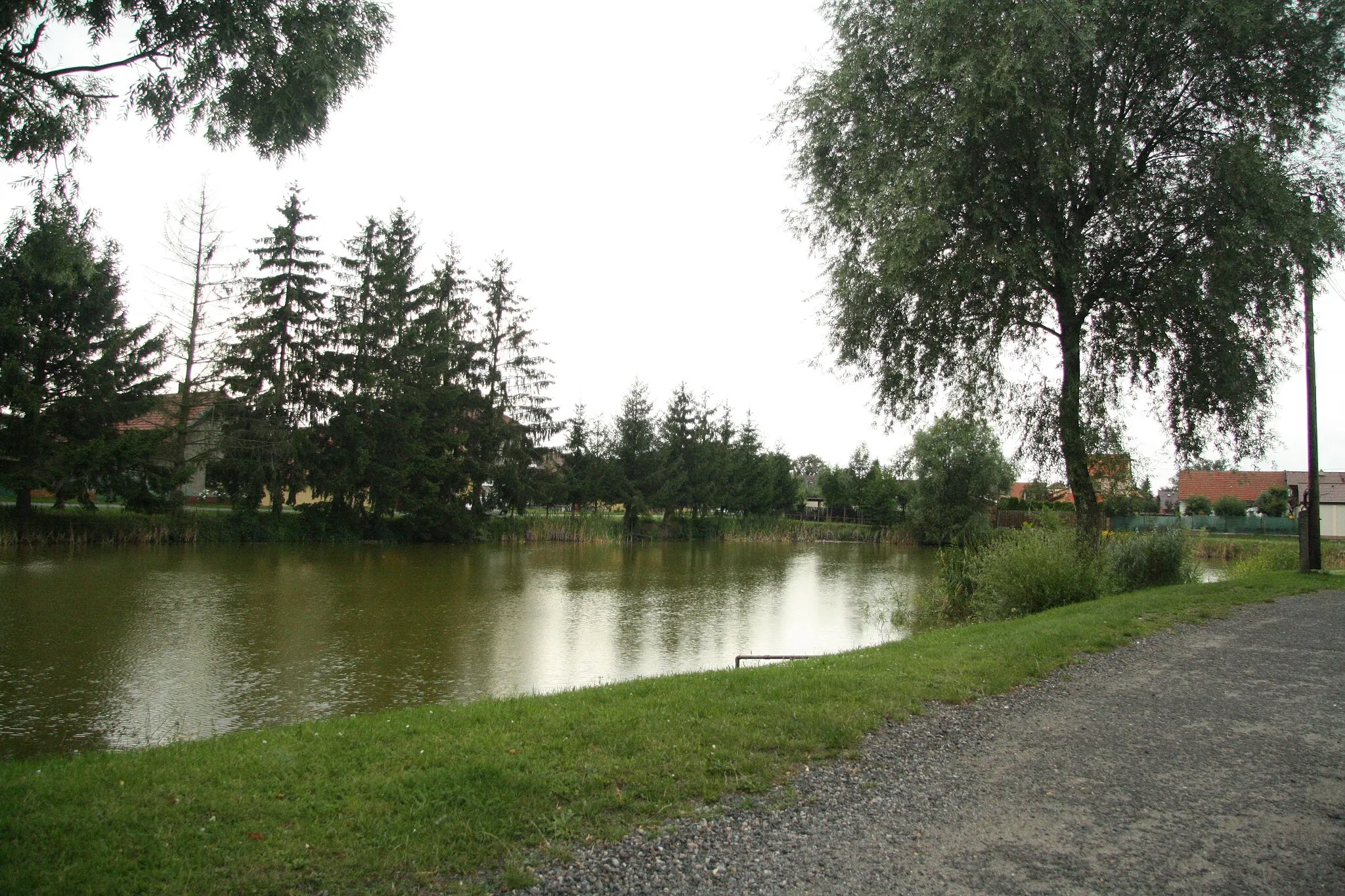 Photo showing: Village pond in Vrbová Lhota, Nymburk District.